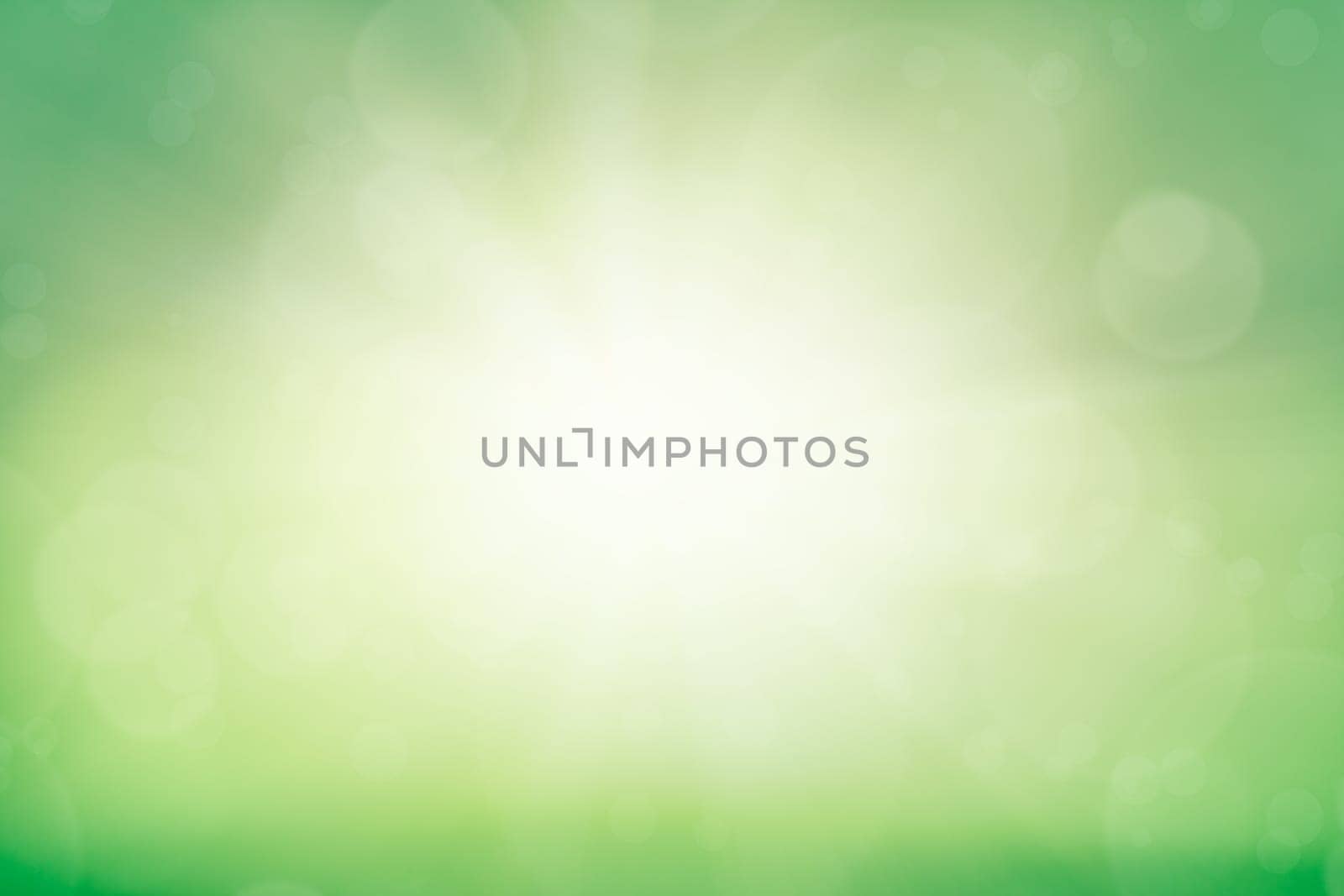 Sunny green meadow natural bokeh background