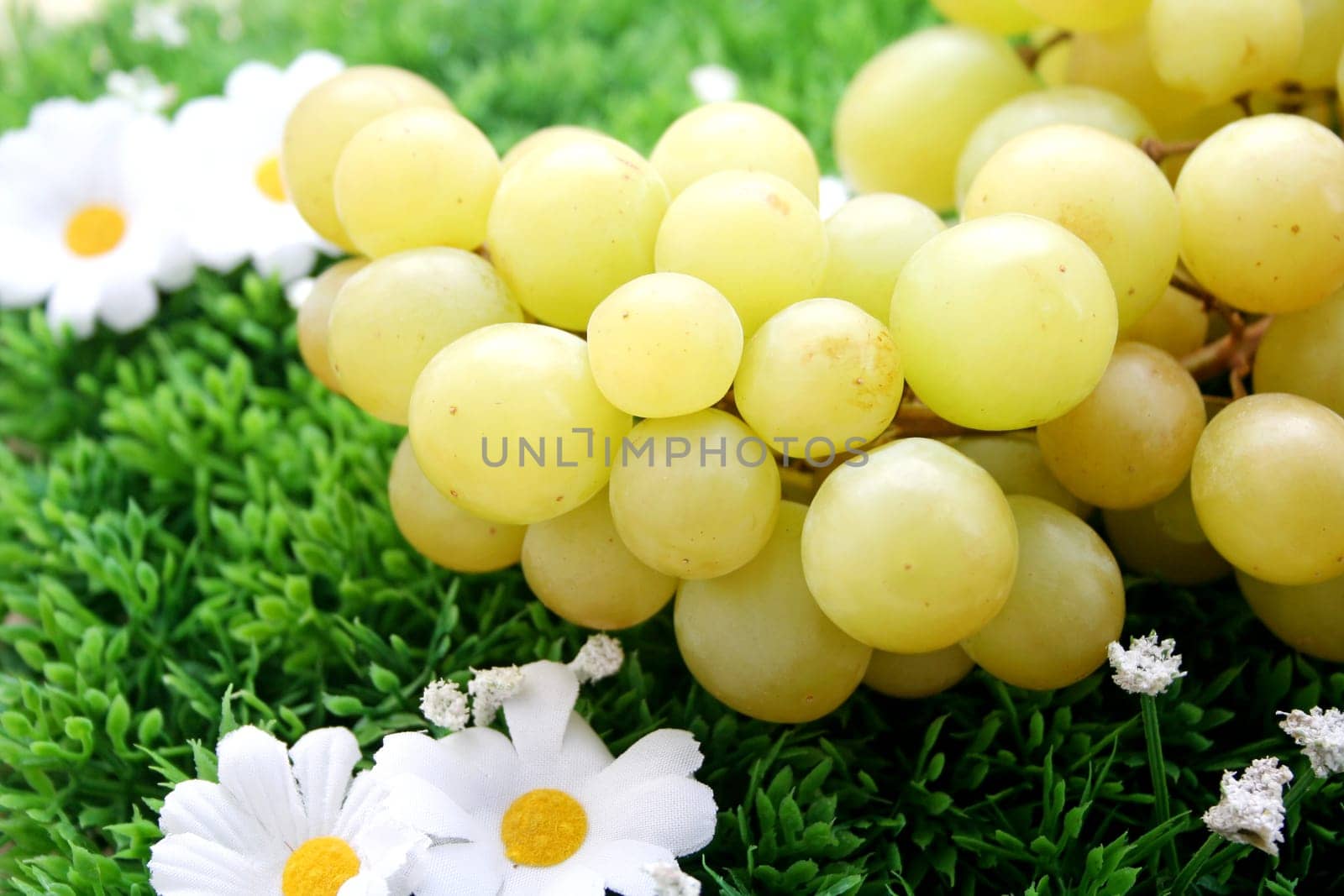 Grapes