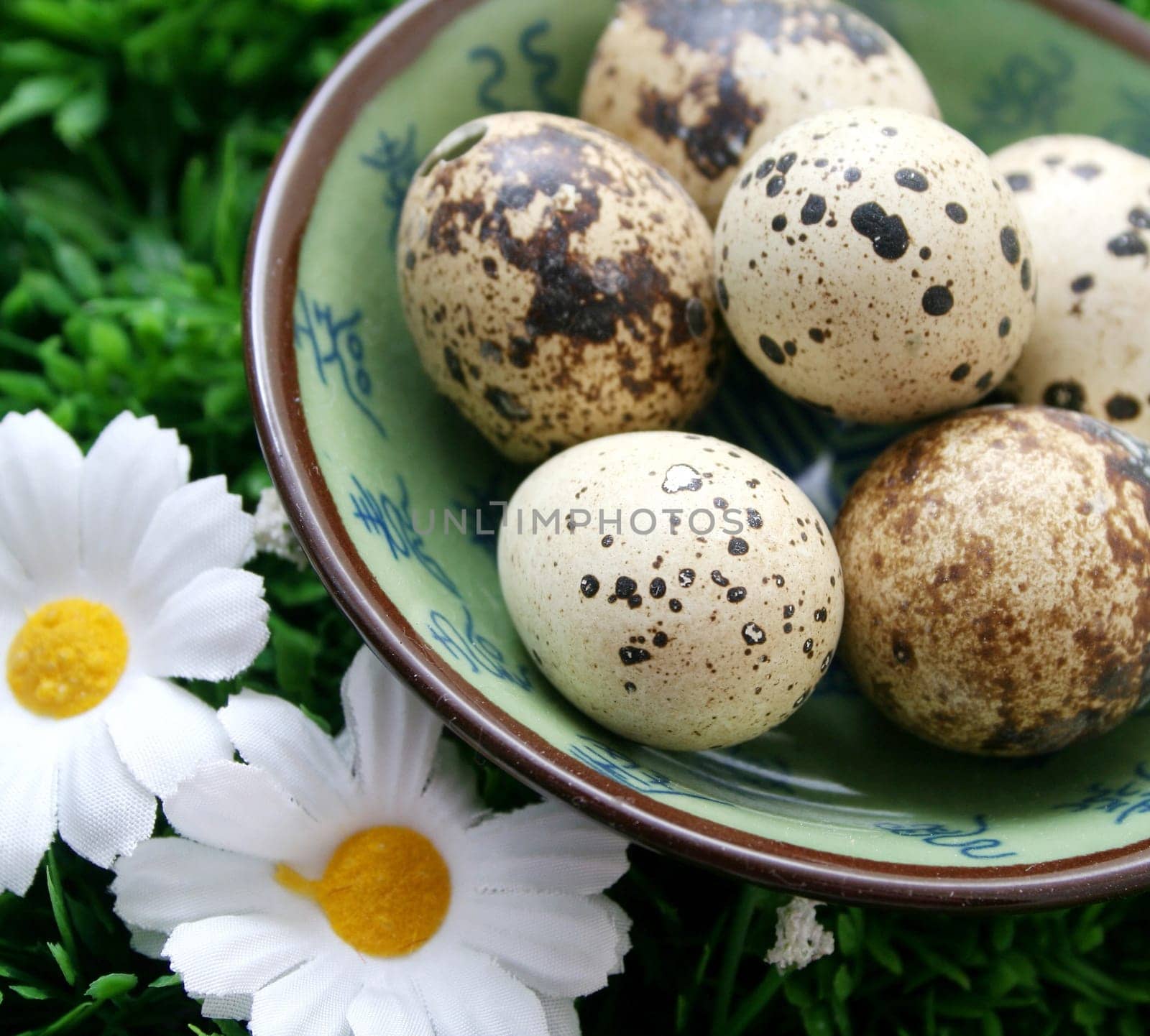 quail eggs