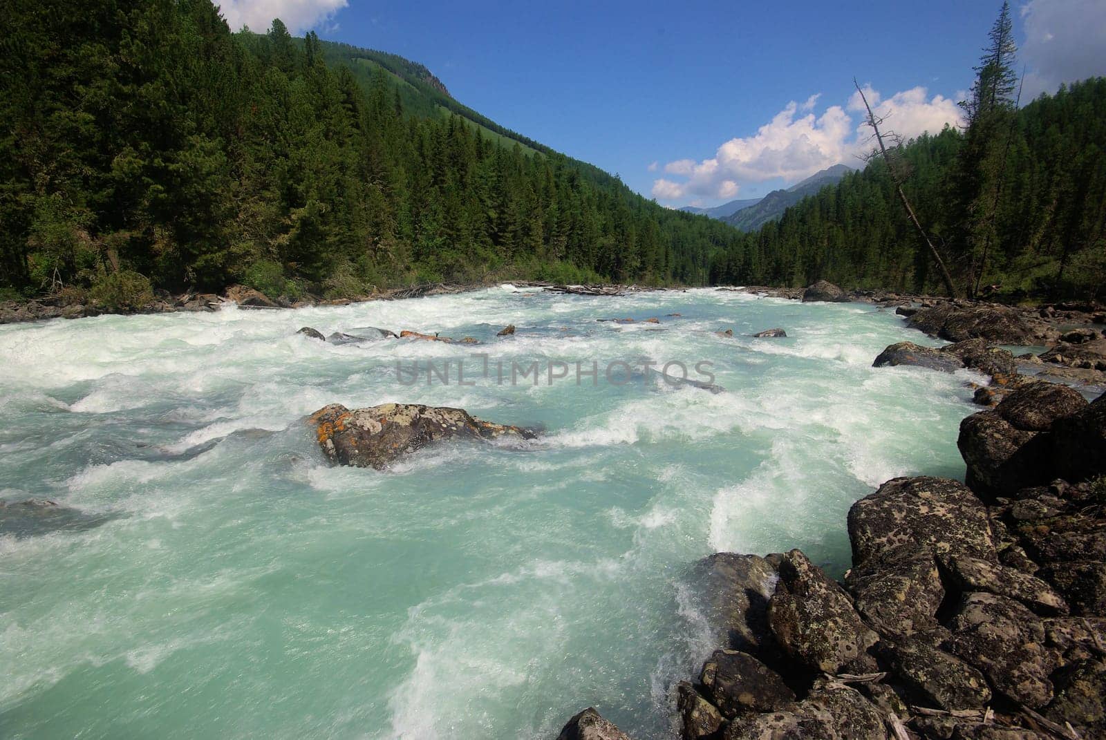 The mountain river in the mountains. Current through the gorge the river. Stones and rocky land near the river. Beautiful mountain landscape.