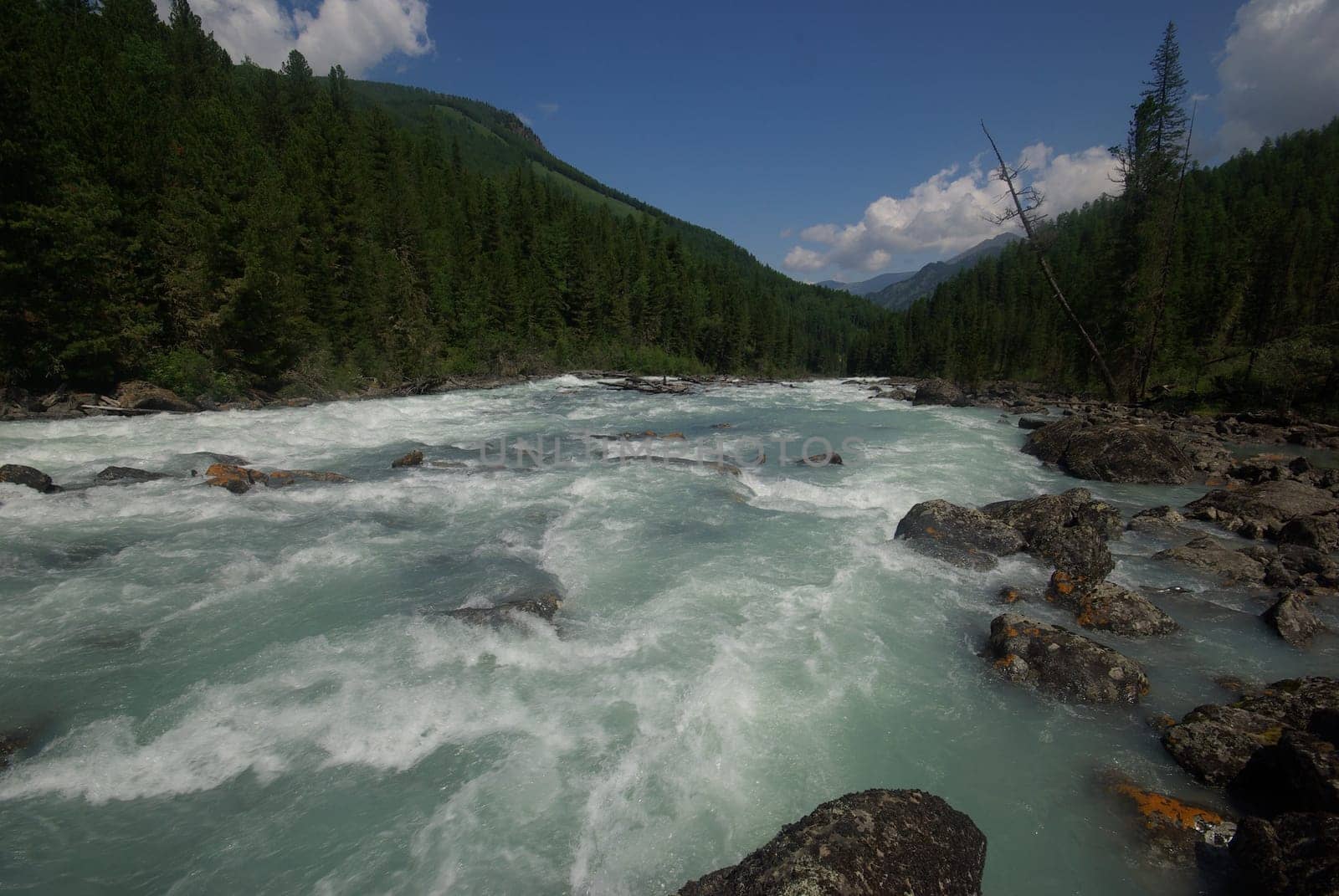 The mountain river in the mountains. Current through the gorge the river. Stones and rocky land near the river. Beautiful mountain landscape.