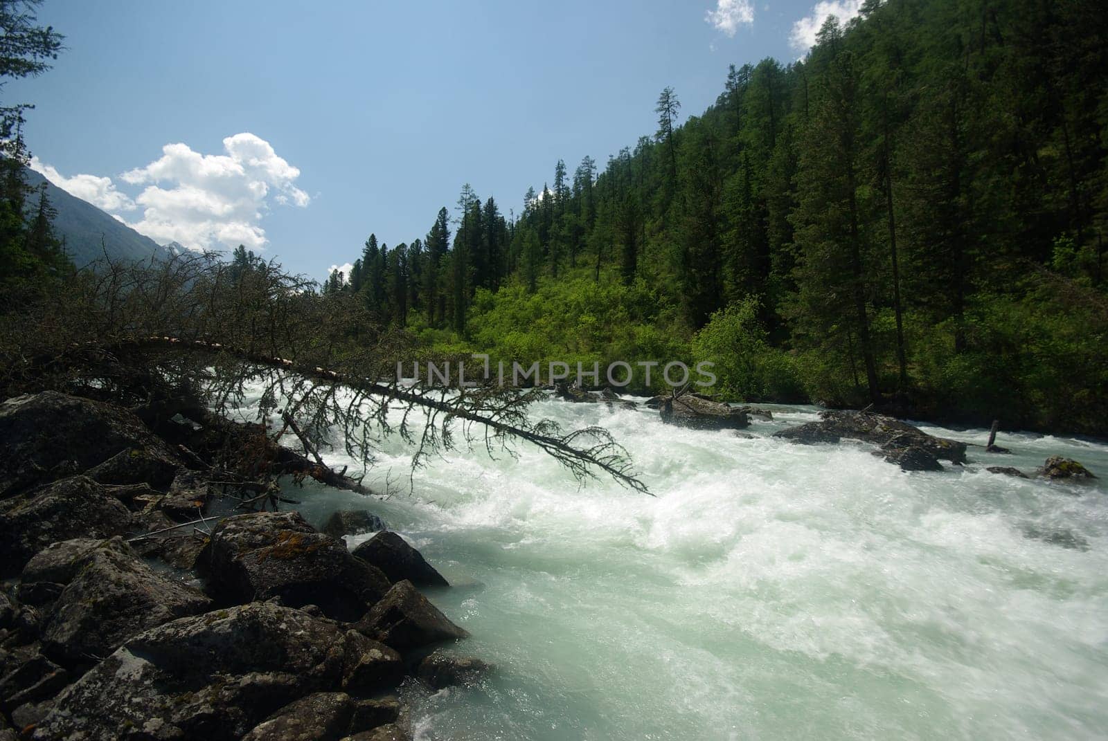 The mountain river in the mountains. Current through the gorge the river. Stones and rocky land near the river. Beautiful mountain landscape.