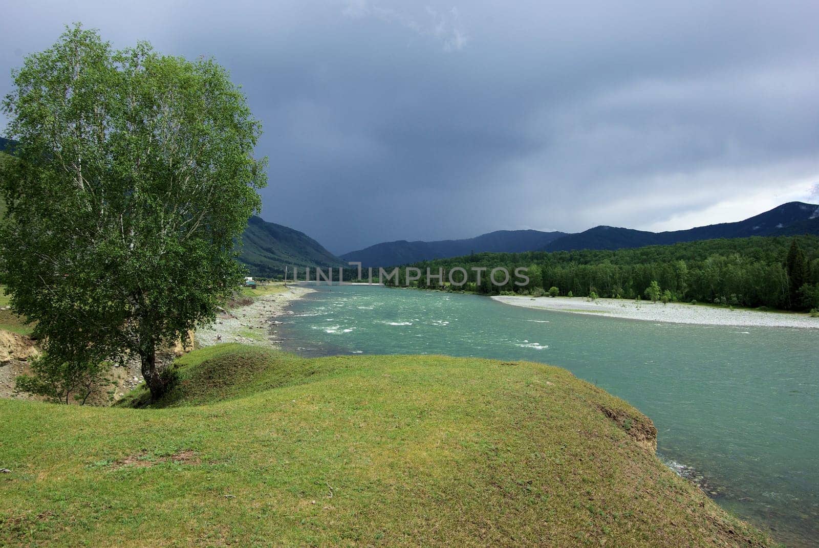 The mountain river in the mountains. Current through the gorge the river. Stones and rocky land near the river. Beautiful mountain landscape.