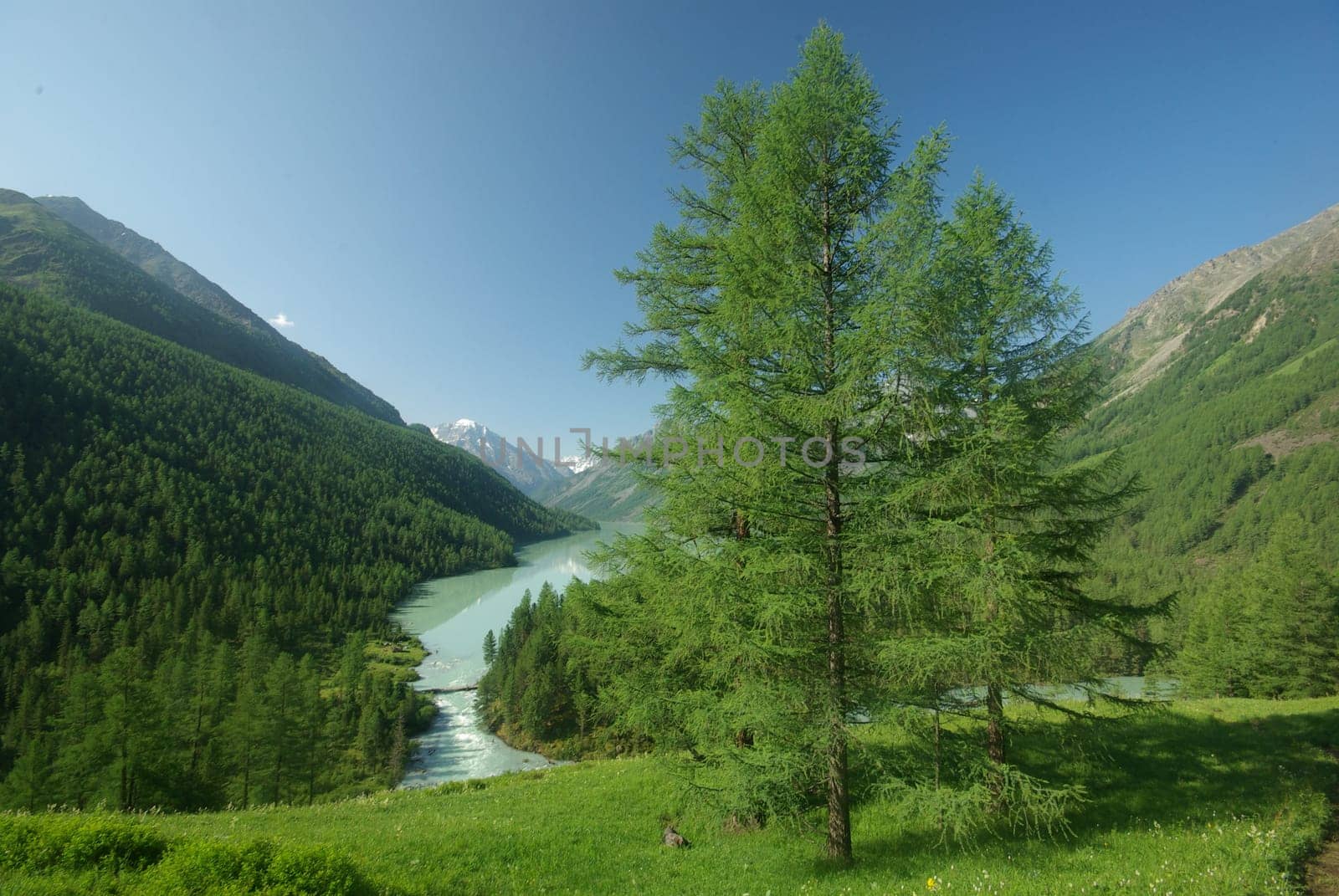 The mountain river in the mountains. Current through the gorge the river. Stones and rocky land near the river. Beautiful mountain landscape.