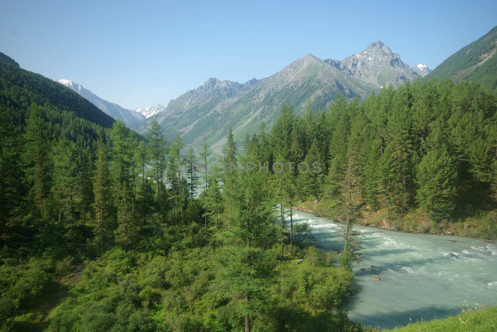 The mountain river in the mountains. Current through the gorge the river. Stones and rocky land near the river. Beautiful mountain landscape.