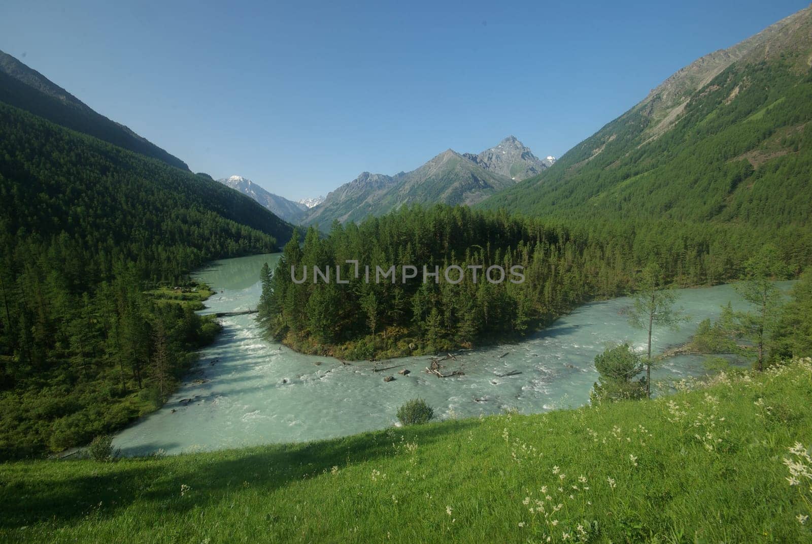 The mountain river in the mountains. Current through the gorge the river. Stones and rocky land near the river. Beautiful mountain landscape.