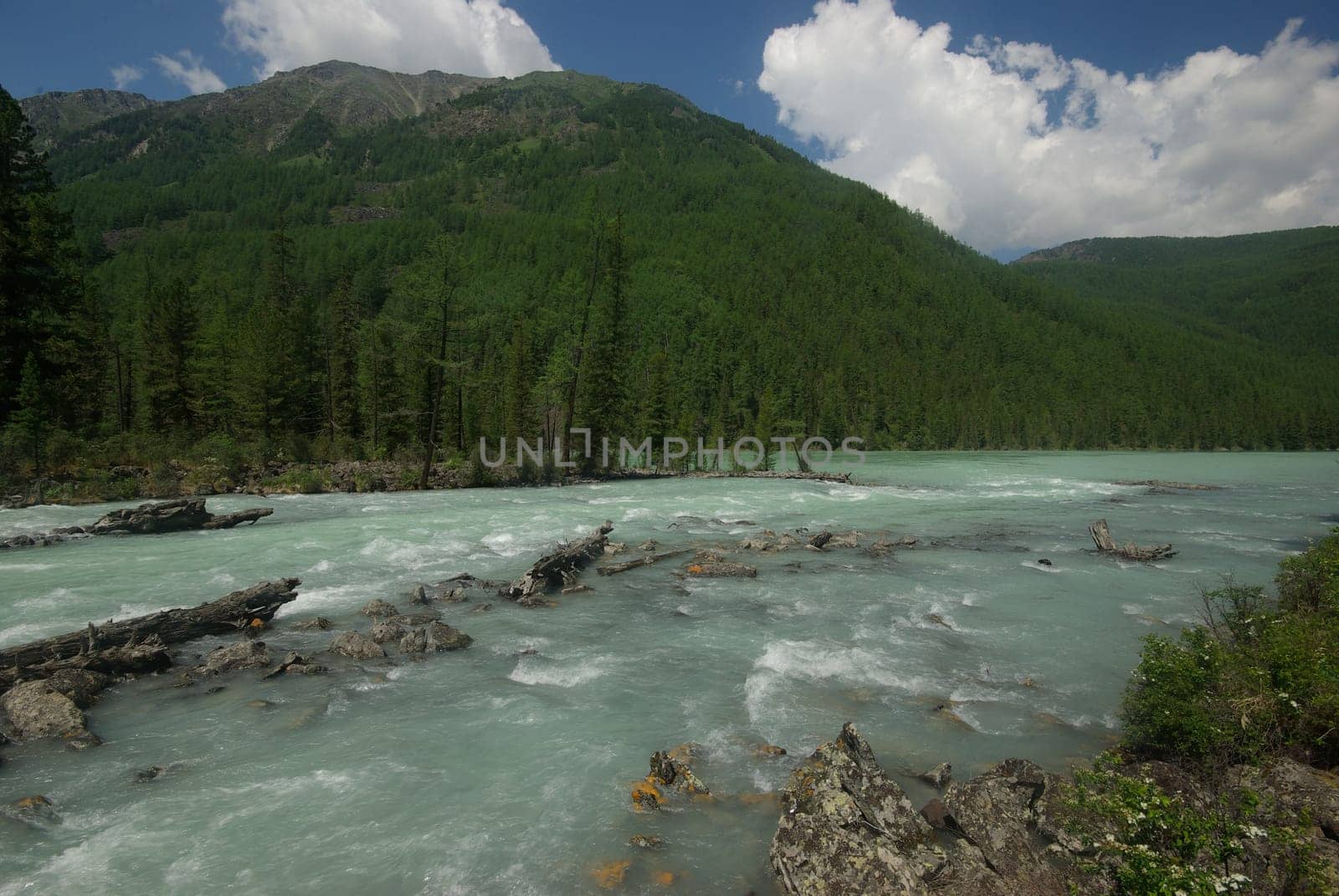 The mountain river in the mountains. Current through the gorge the river. Stones and rocky land near the river. Beautiful mountain landscape.