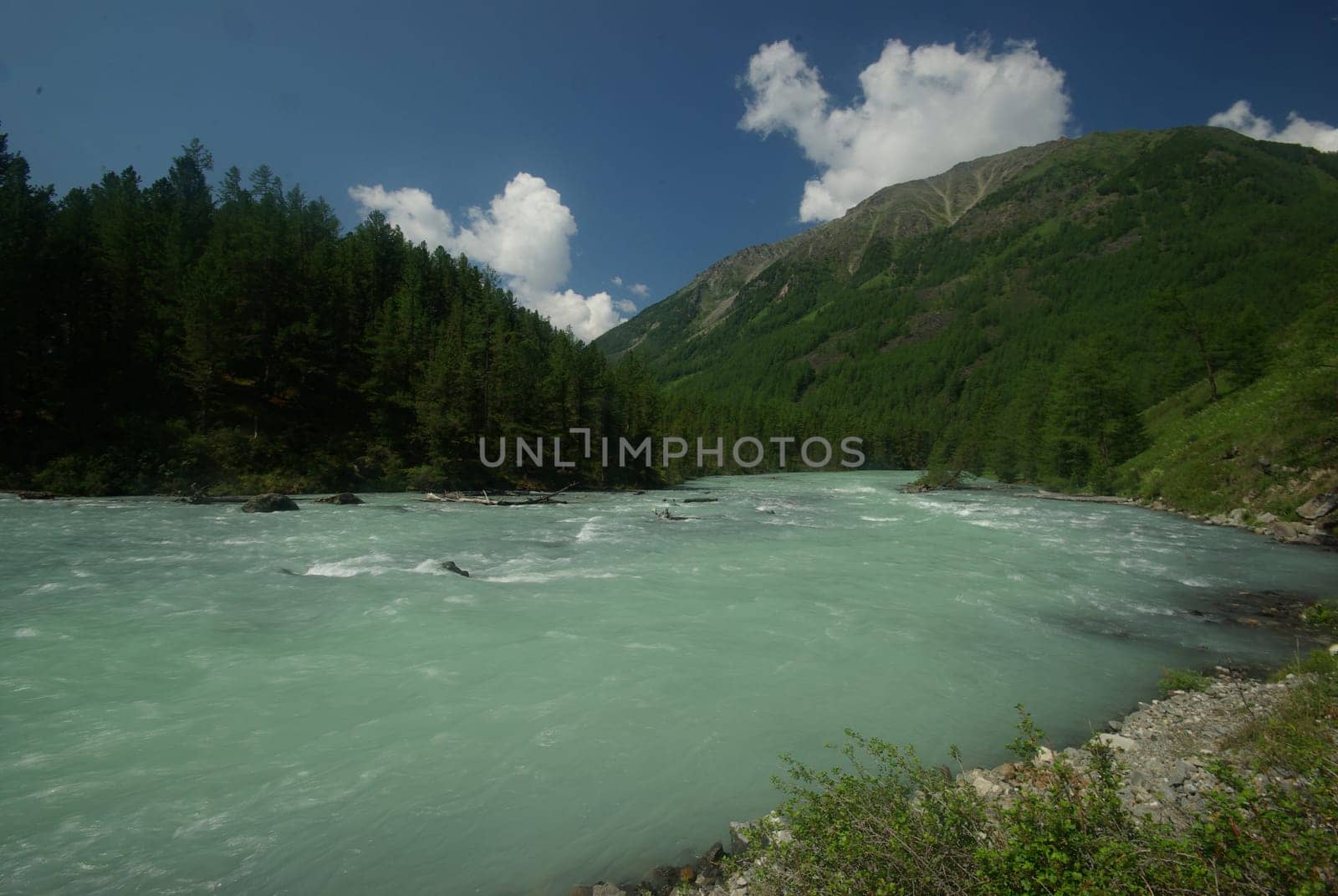 The mountain river in the mountains. Current through the gorge the river. Stones and rocky land near the river. Beautiful mountain landscape.