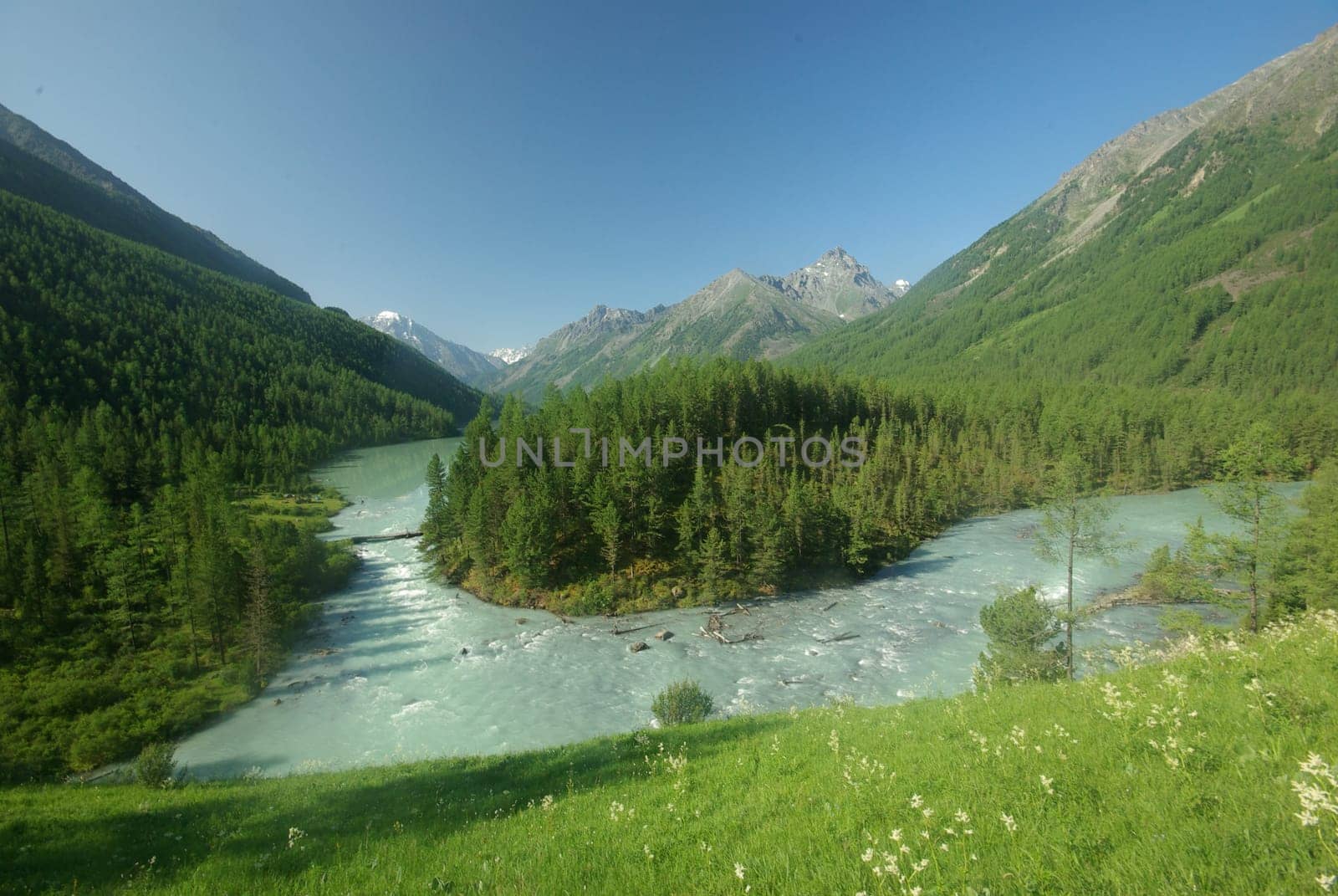 The mountain river in the mountains. Current through the gorge the river. Stones and rocky land near the river. Beautiful mountain landscape.