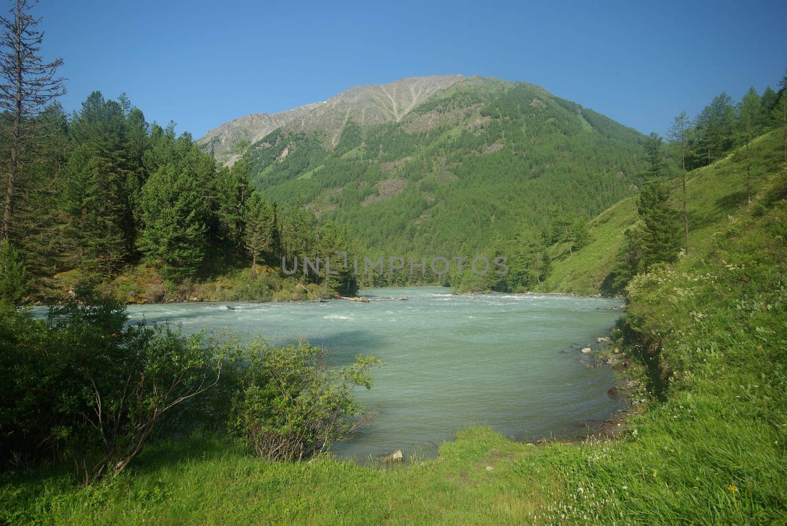 The mountain river in the mountains. Current through the gorge the river. Stones and rocky land near the river. Beautiful mountain landscape.