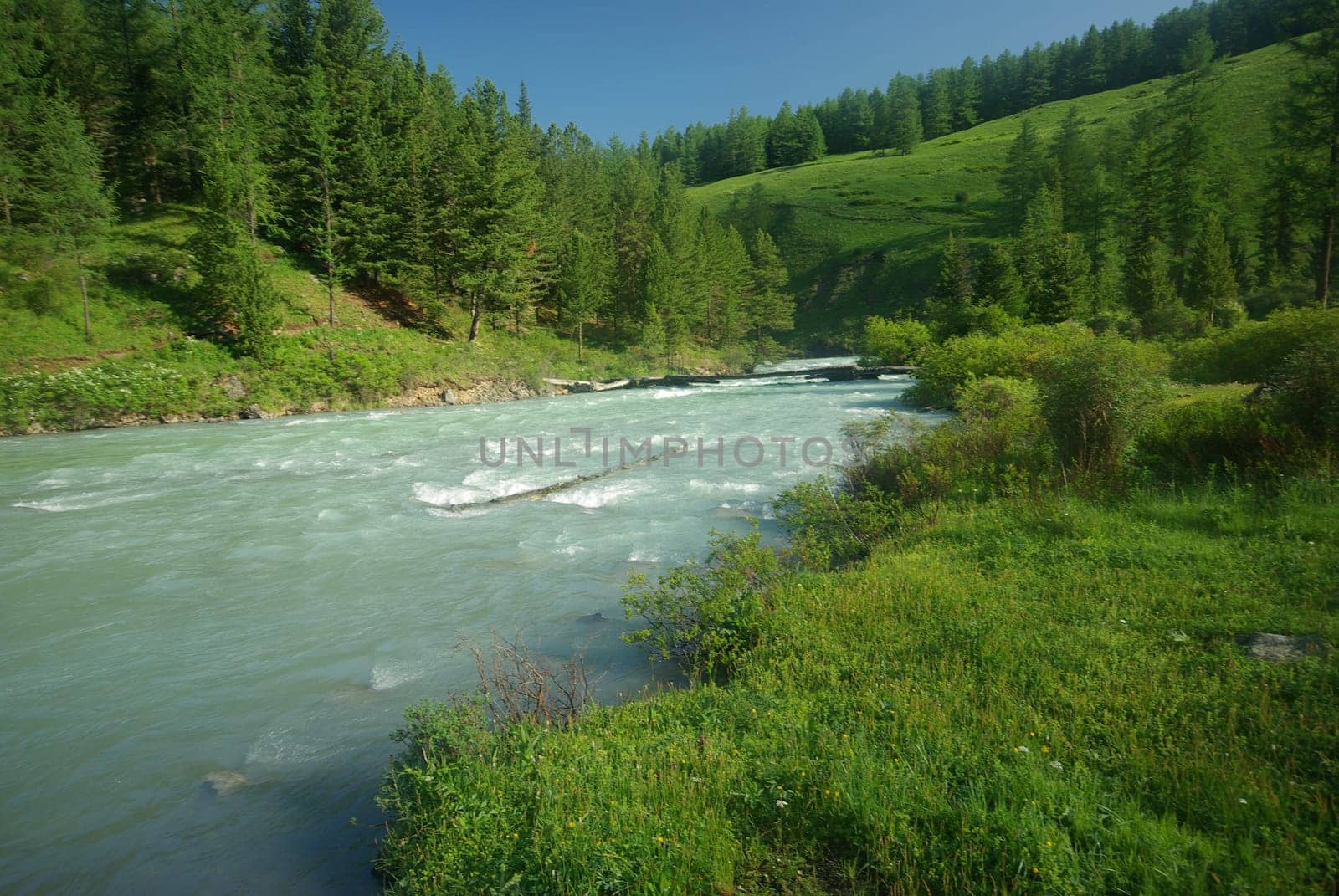 The mountain river in the mountains. Current through the gorge the river. Stones and rocky land near the river. Beautiful mountain landscape.