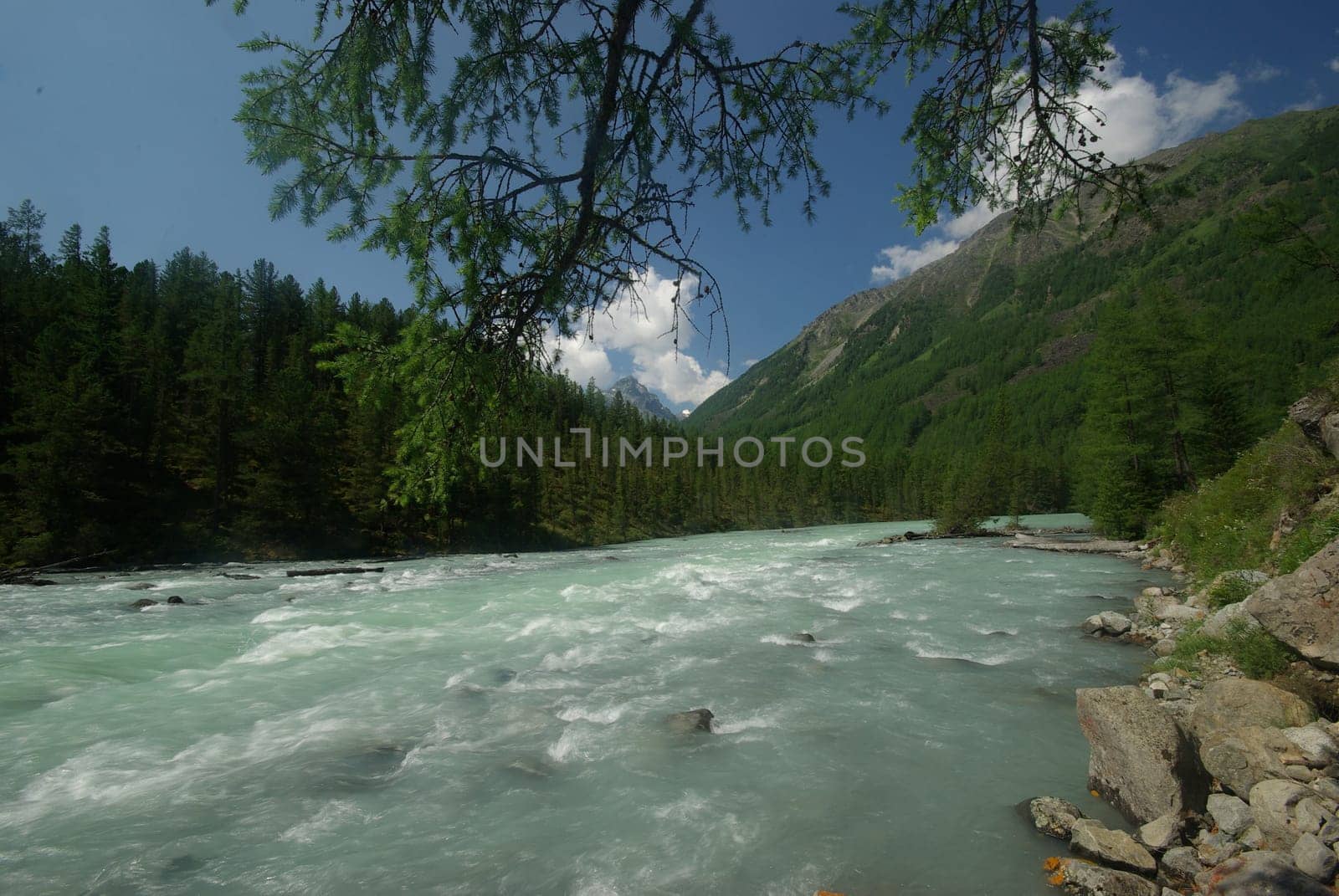 The mountain river in the mountains. Current through the gorge the river. Stones and rocky land near the river. Beautiful mountain landscape.