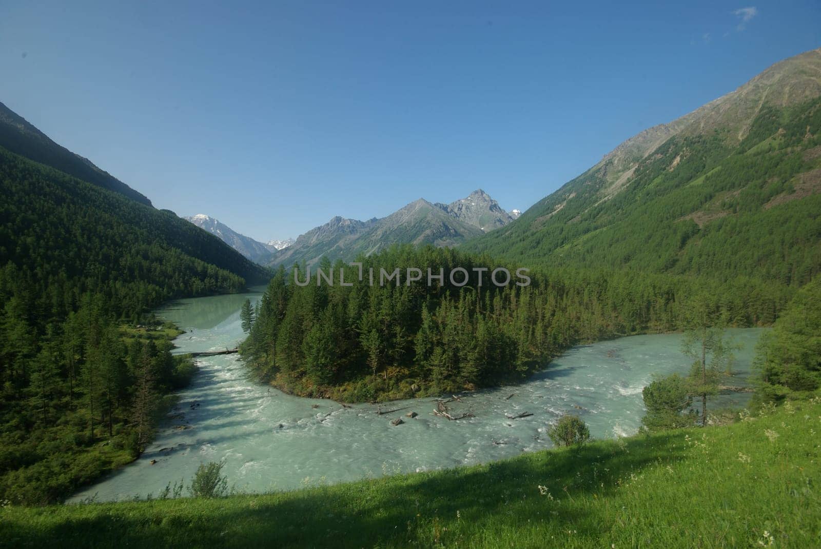 The mountain river in the mountains. Current through the gorge the river. Stones and rocky land near the river. Beautiful mountain landscape.