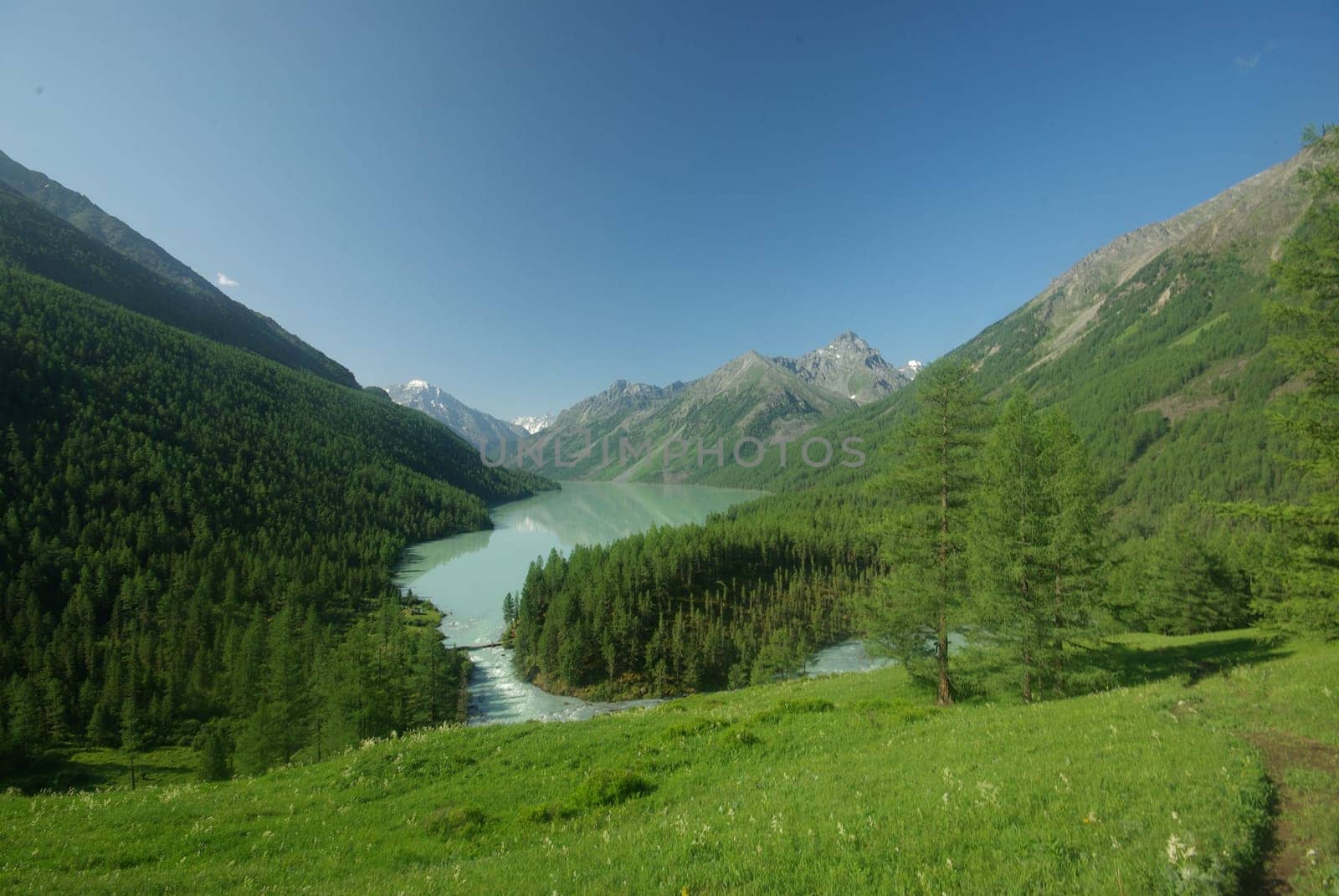 The mountain river in the mountains. Current through the gorge the river. Stones and rocky land near the river. Beautiful mountain landscape.