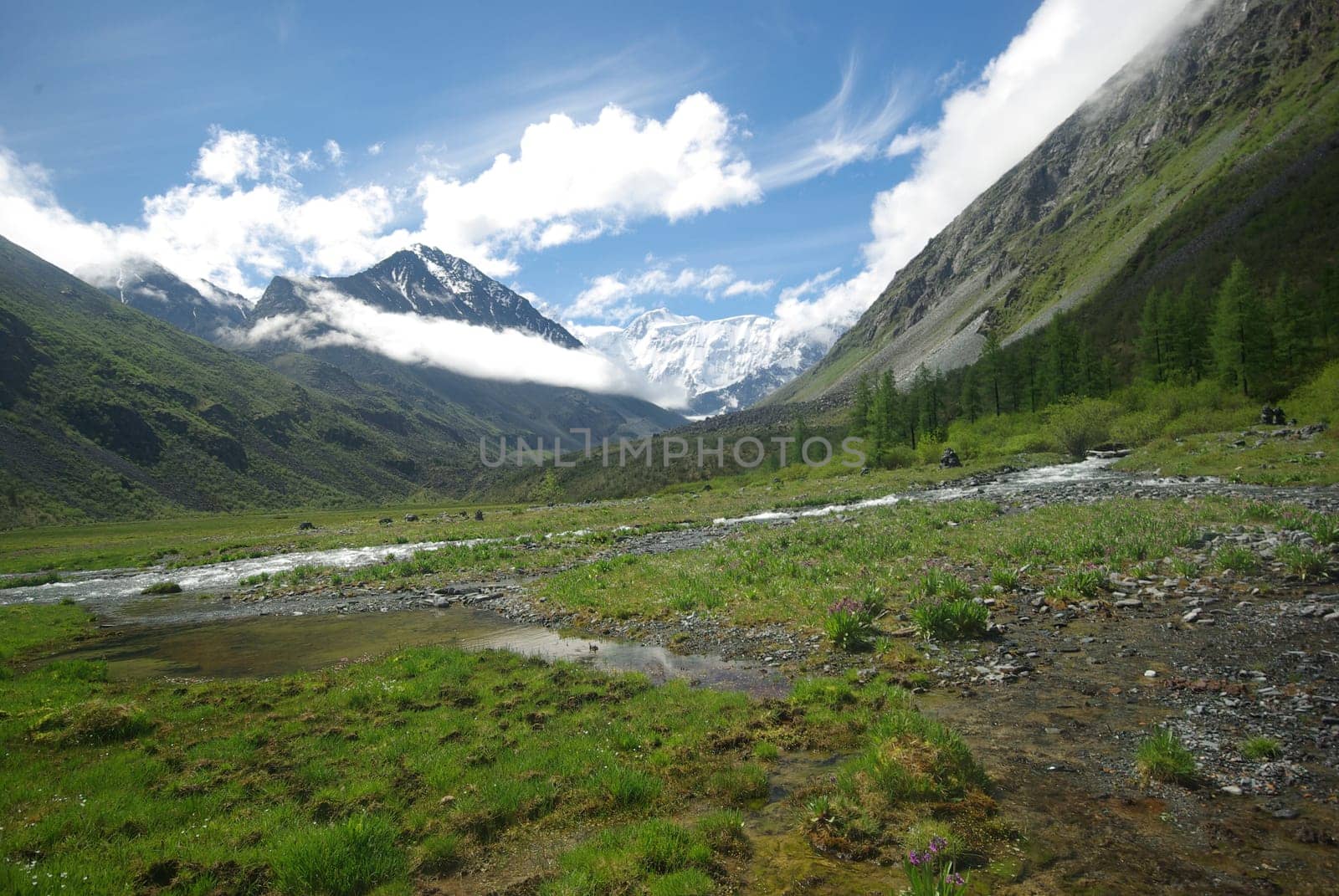 The mountain river in the mountains. Current through the gorge the river. Stones and rocky land near the river. Beautiful mountain landscape.