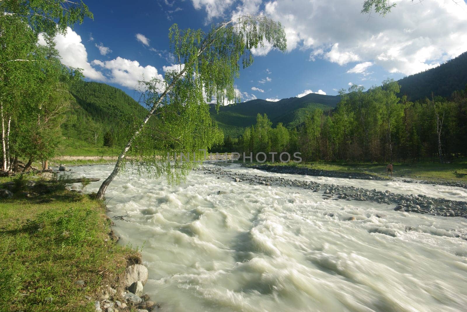 The mountain river in the mountains. Current through the gorge the river. Stones and rocky land near the river. Beautiful mountain landscape.