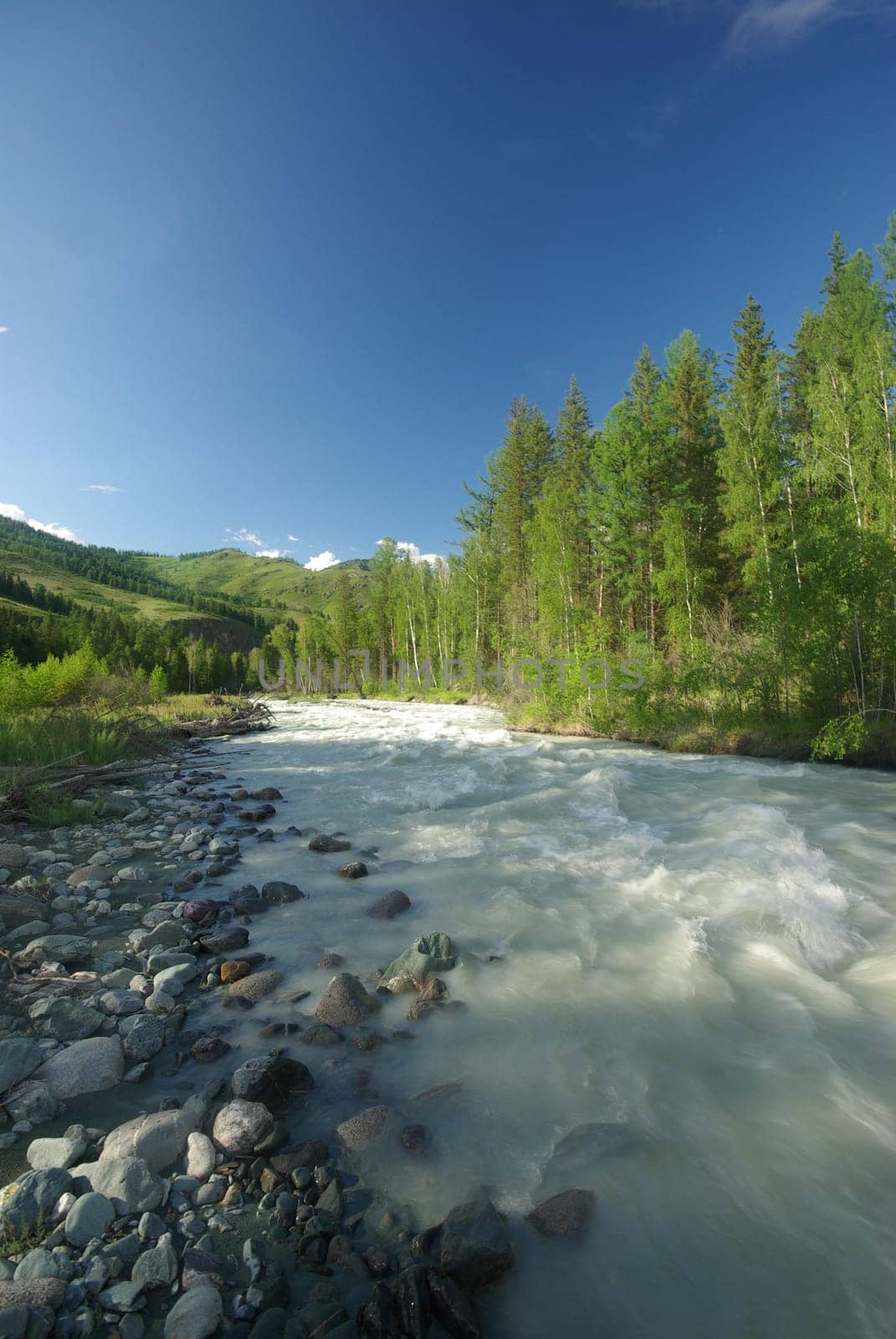 The mountain river in the mountains. Current through the gorge the river. Stones and rocky land near the river. Beautiful mountain landscape.
