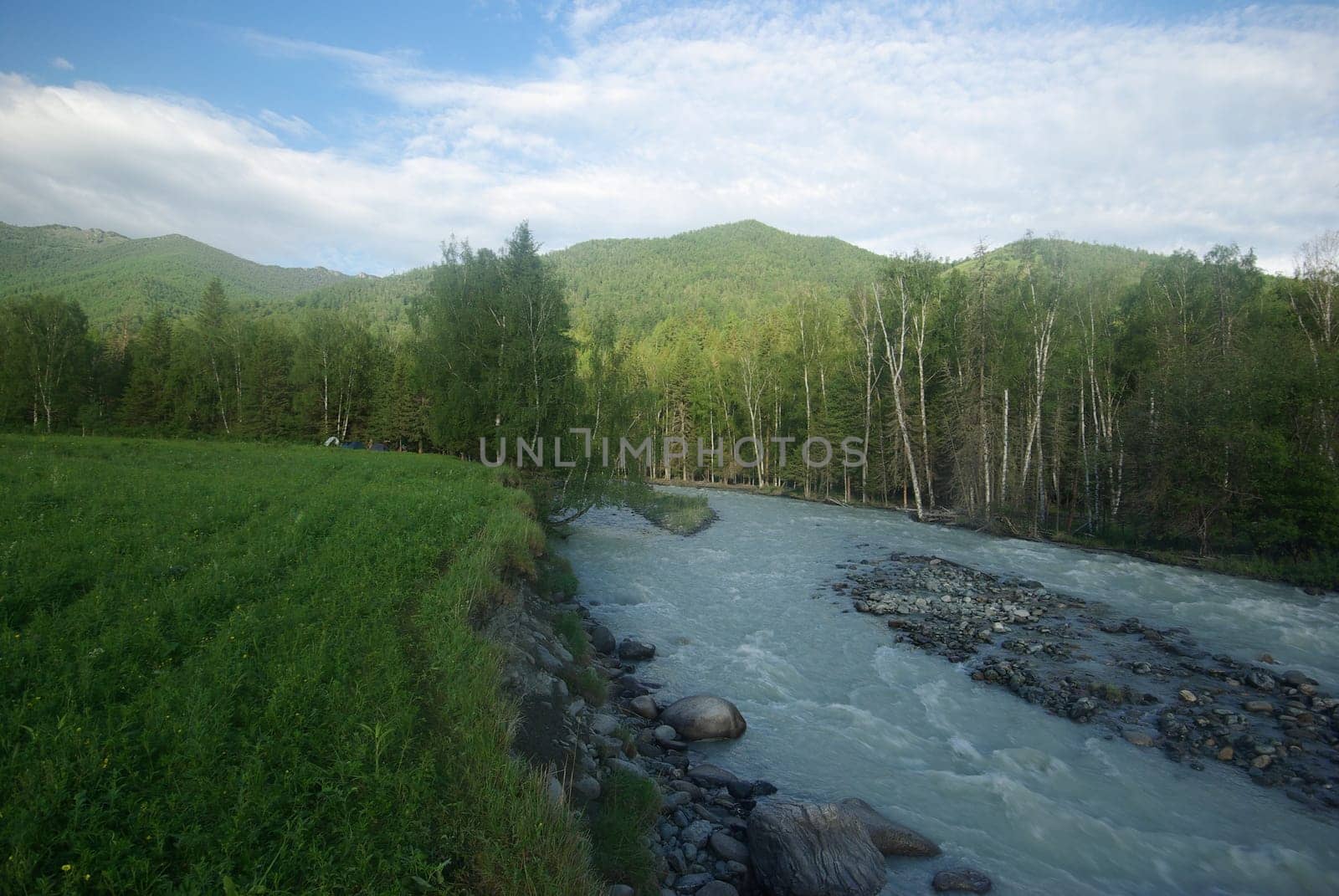 The mountain river in the mountains. Current through the gorge the river. Stones and rocky land near the river. Beautiful mountain landscape.
