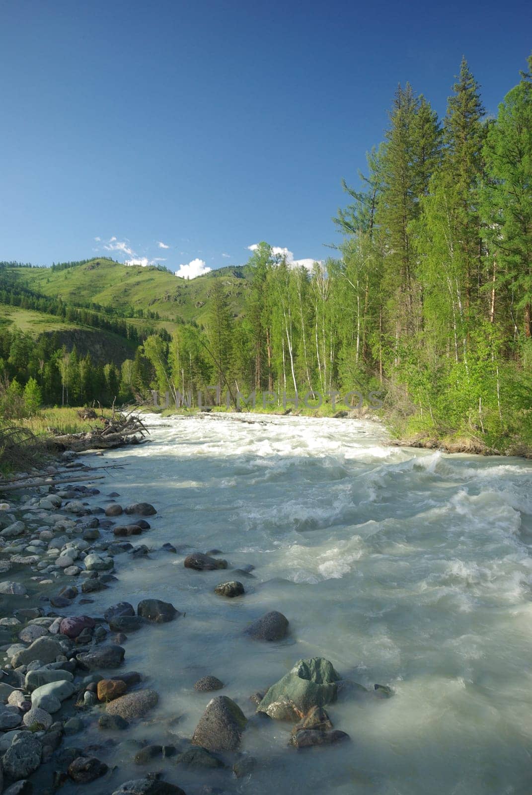 The mountain river in the mountains. Current through the gorge the river. Stones and rocky land near the river. Beautiful mountain landscape.