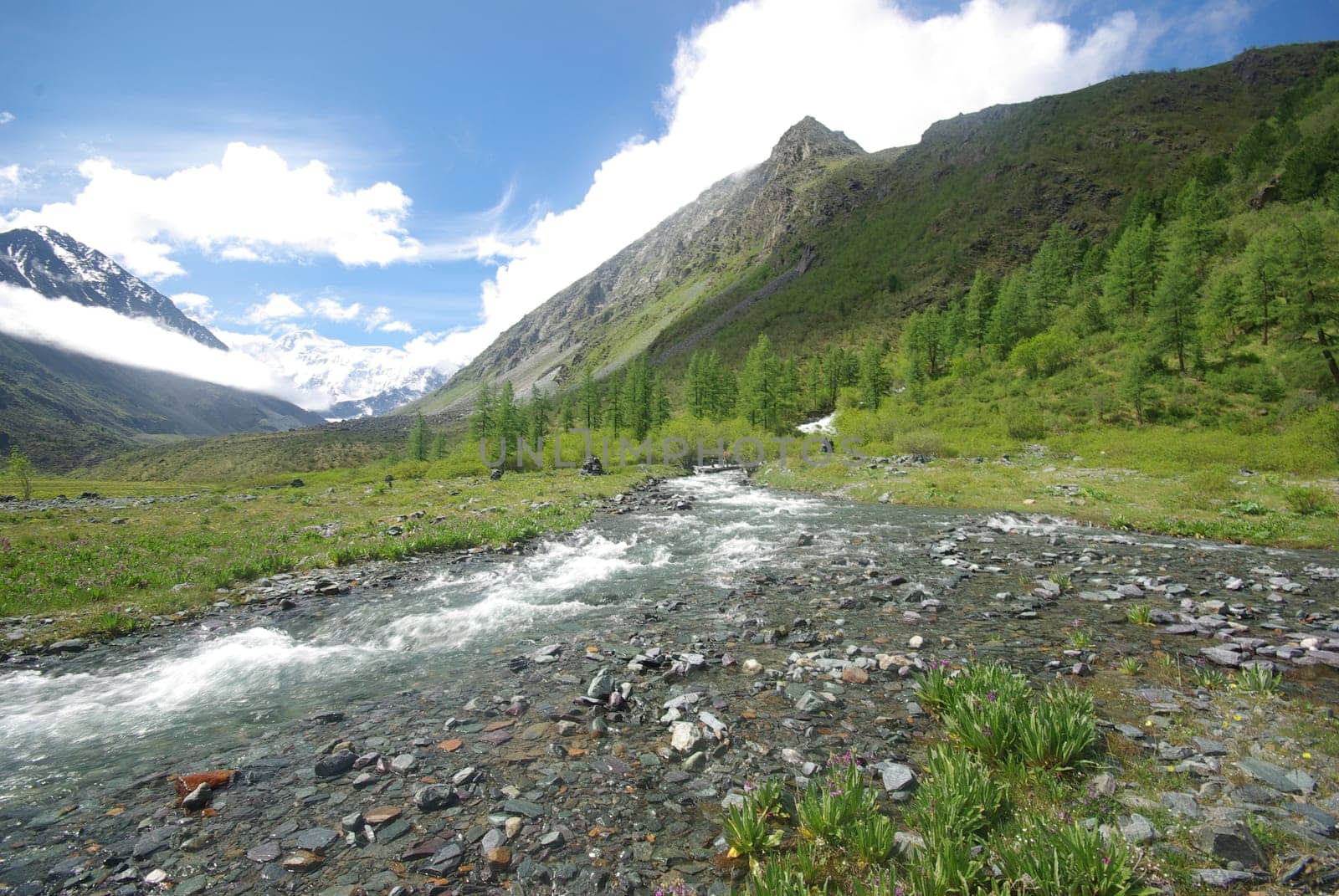 The mountain river in the mountains. Current through the gorge the river. Stones and rocky land near the river. Beautiful mountain landscape.