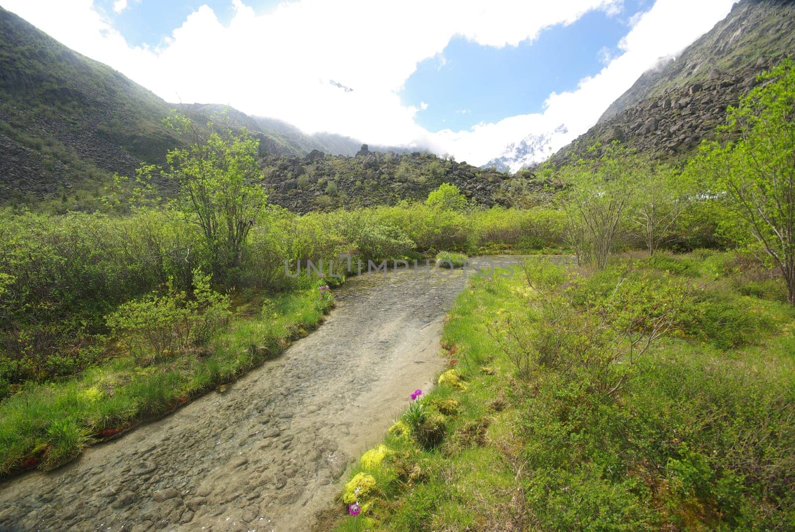 The mountain river in the mountains. Current through the gorge the river. Stones and rocky land near the river. Beautiful mountain landscape.
