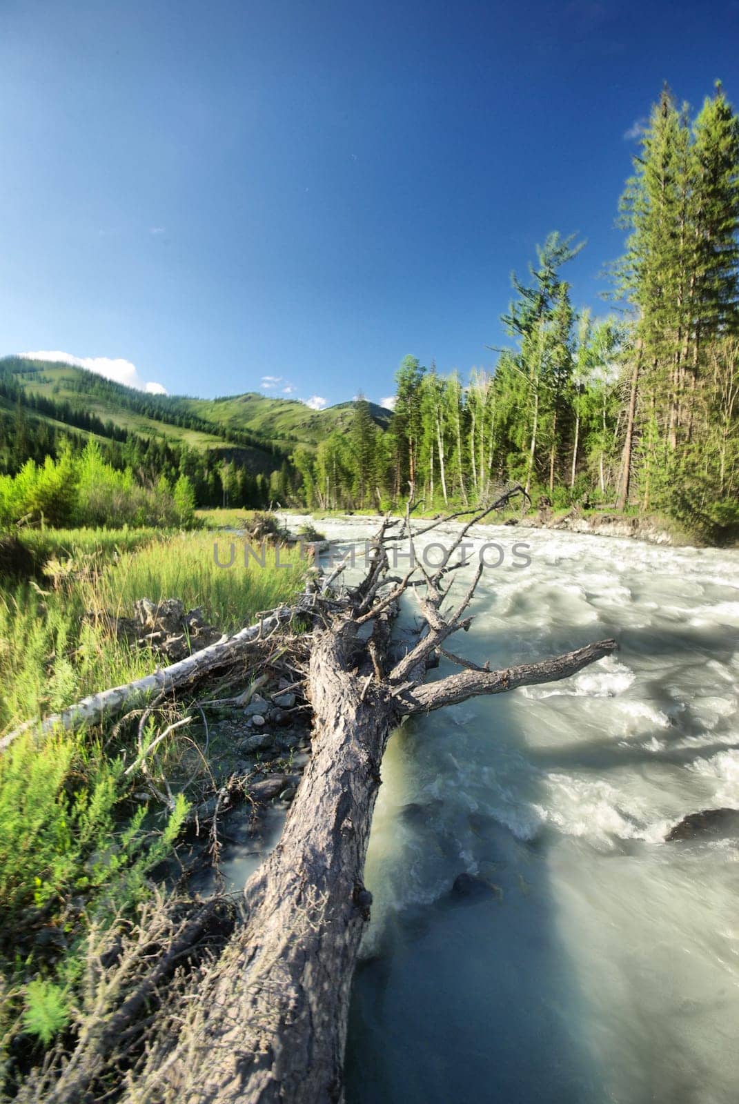 The mountain river in the mountains. Current through the gorge the river. Stones and rocky land near the river. Beautiful mountain landscape.