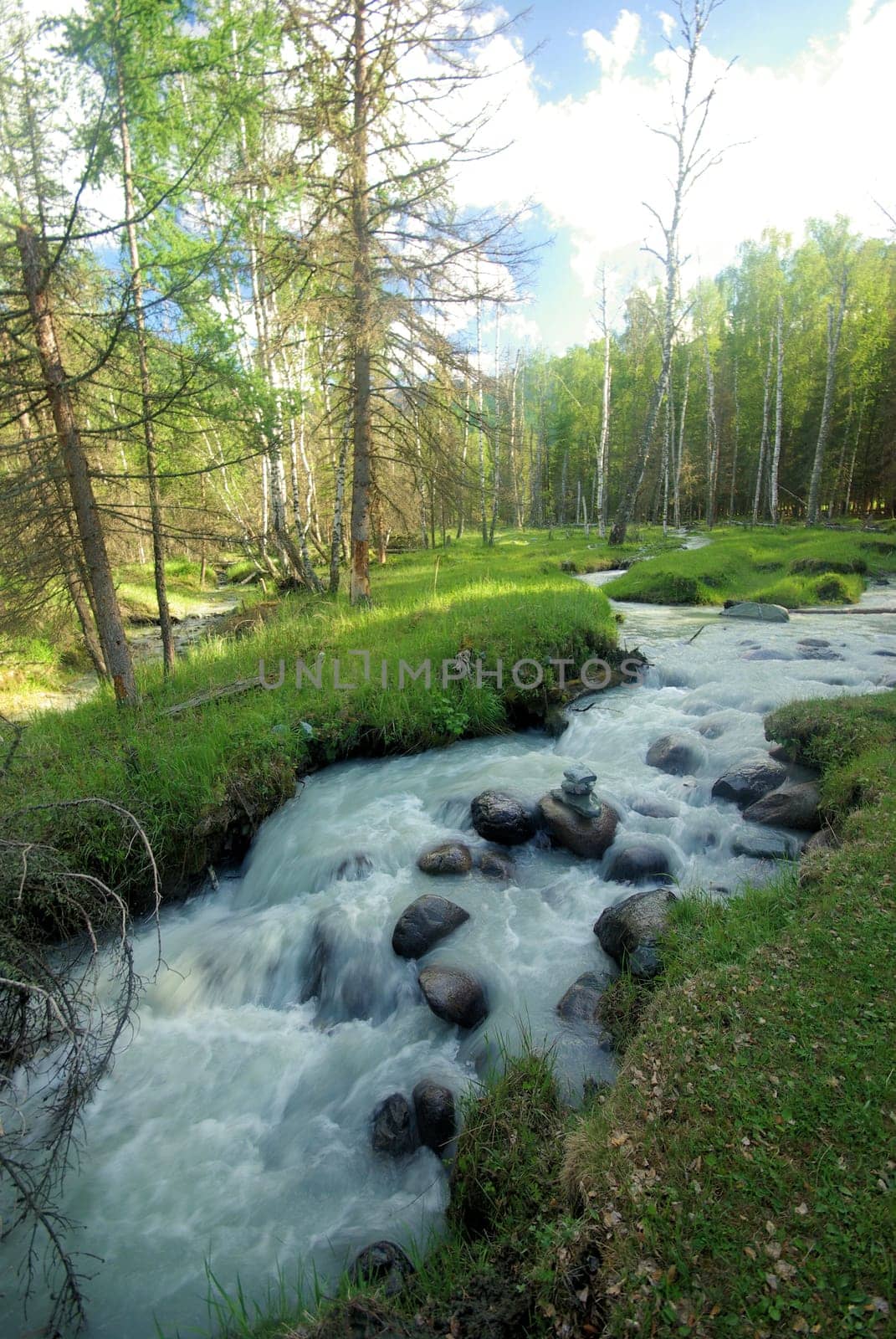 The mountain river in the mountains. Current through the gorge the river. Stones and rocky land near the river. Beautiful mountain landscape.