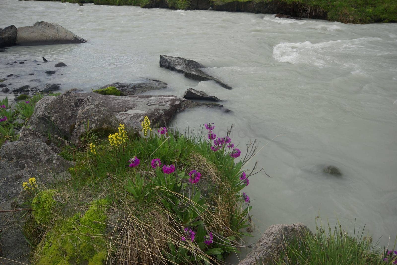 The mountain river in the mountains. Current through the gorge the river. Stones and rocky land near the river. Beautiful mountain landscape.