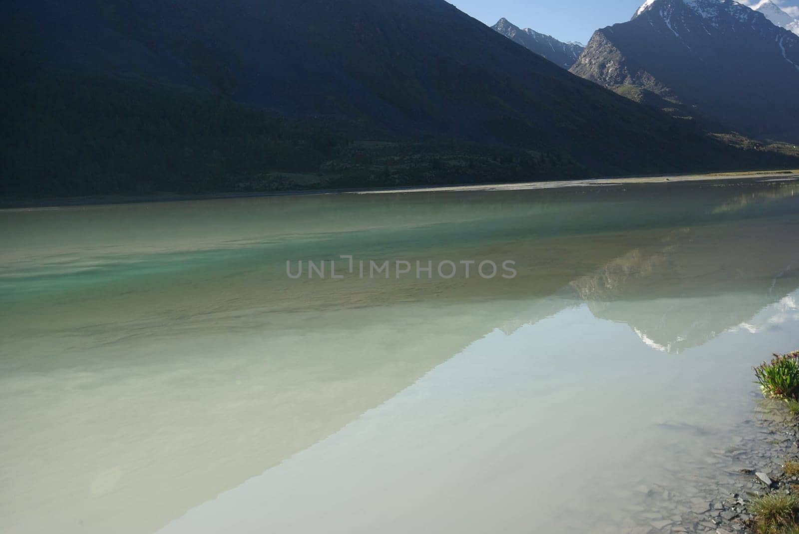 The mountain river in the mountains. Current through the gorge the river. Stones and rocky land near the river. Beautiful mountain landscape.