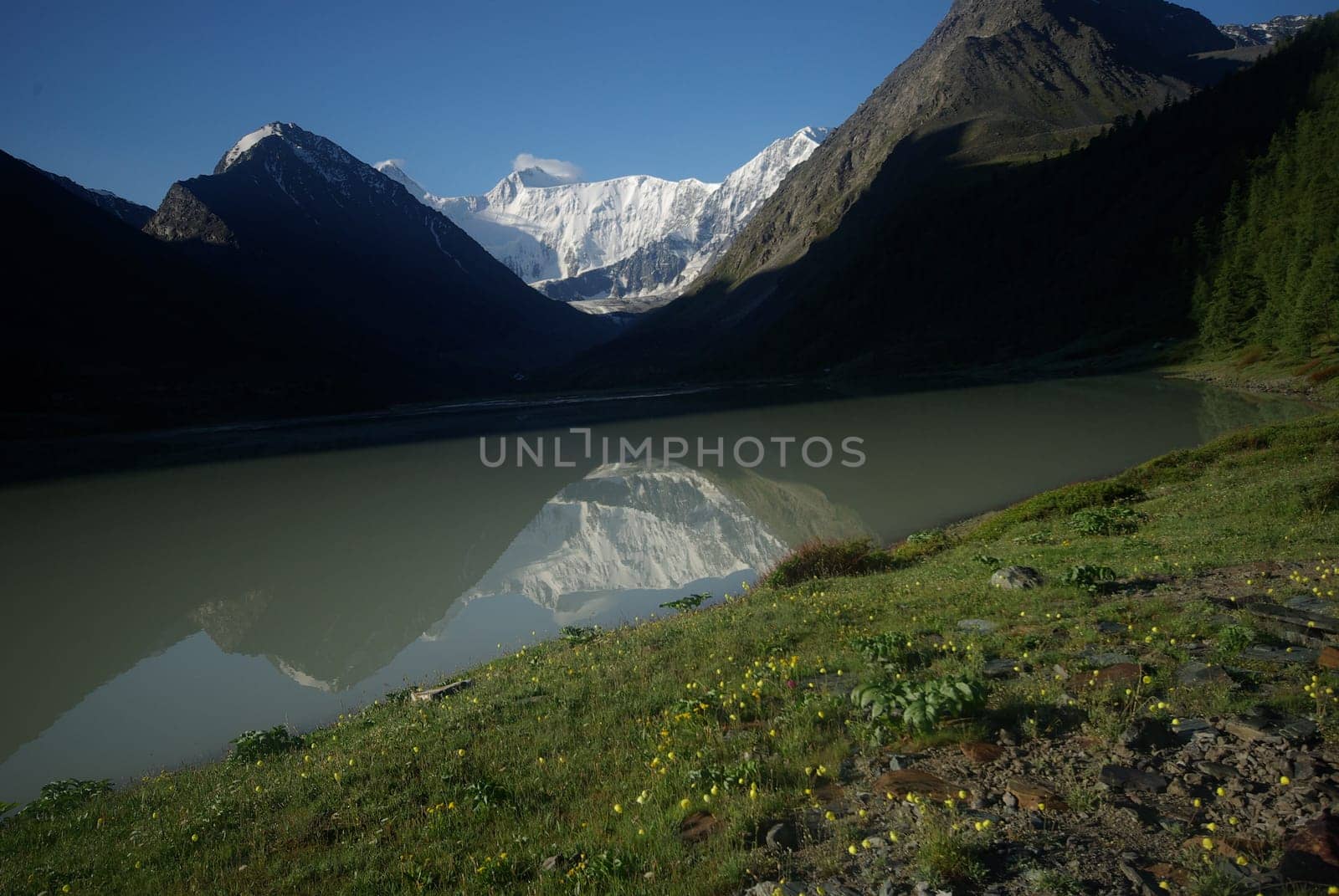 The mountain river in the mountains. Current through the gorge the river. Stones and rocky land near the river. Beautiful mountain landscape.