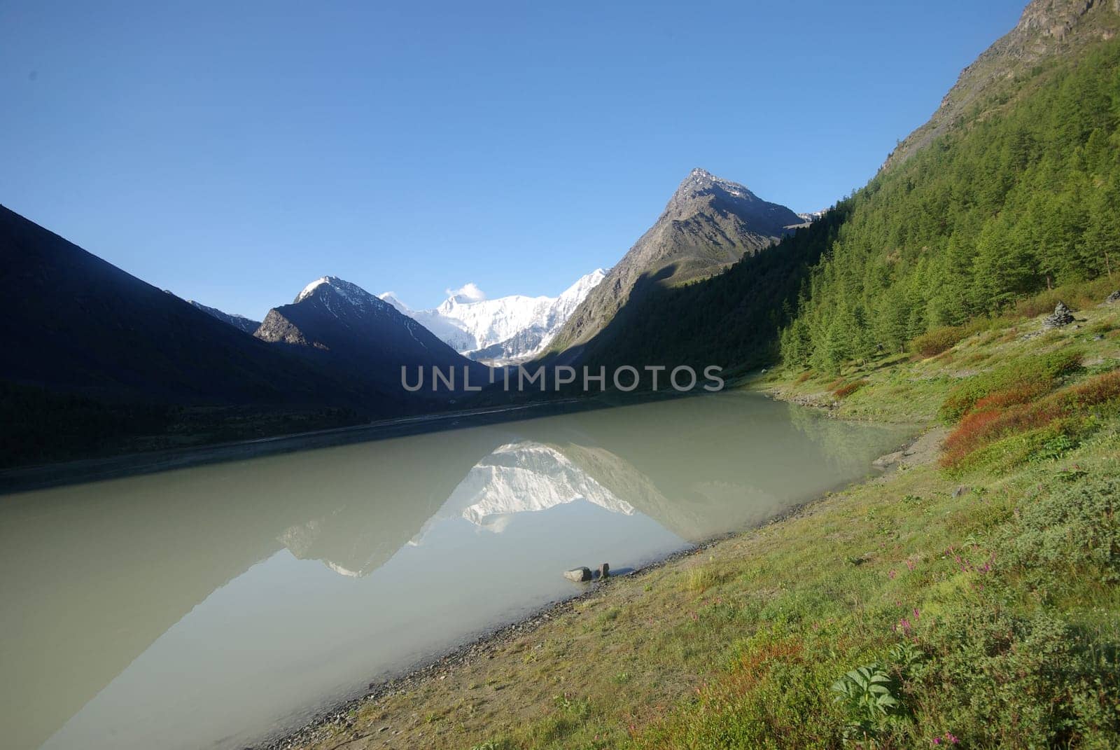 The mountain river in the mountains. Current through the gorge the river. Stones and rocky land near the river. Beautiful mountain landscape.