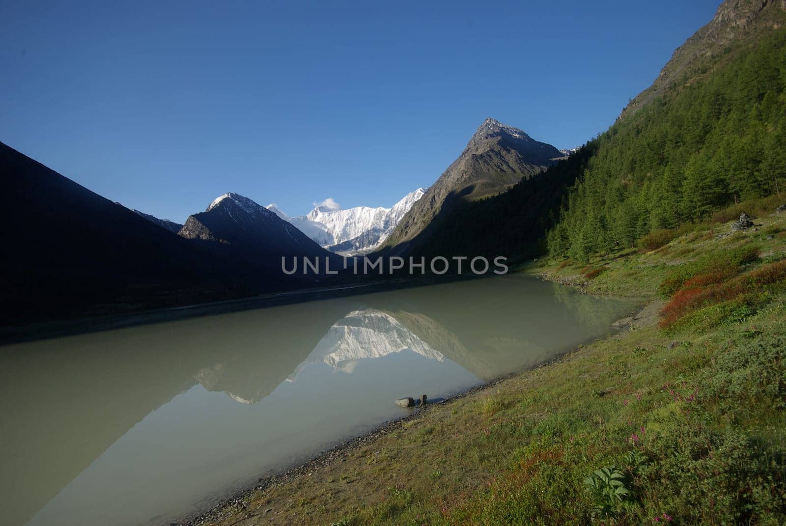 The mountain river in the mountains. Current through the gorge the river. Stones and rocky land near the river. Beautiful mountain landscape.