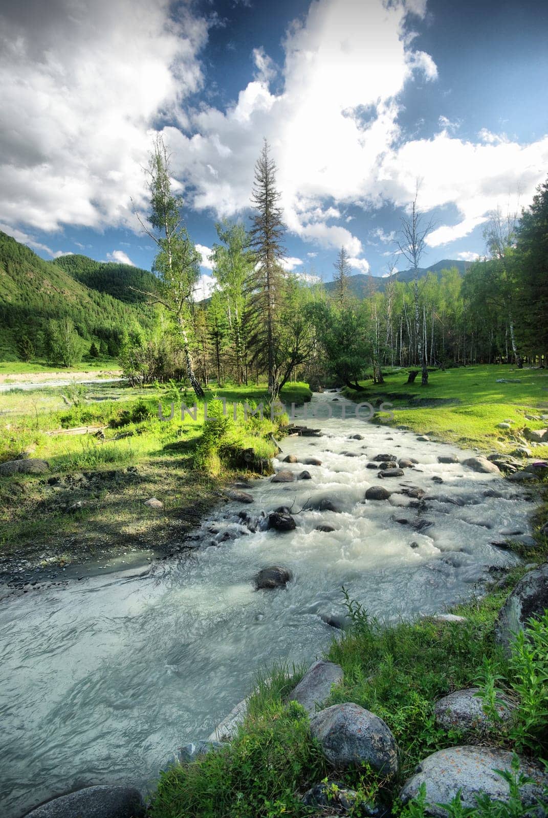 The mountain river in the mountains. Current through the gorge the river. Stones and rocky land near the river. Beautiful mountain landscape.