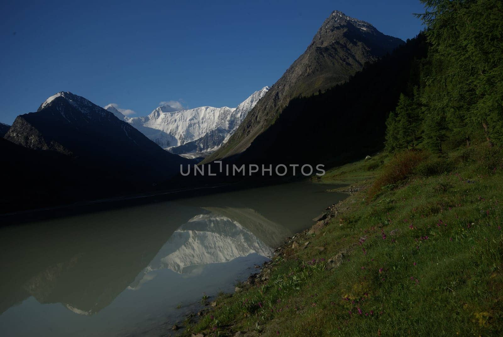 The mountain river in the mountains. Current through the gorge the river. Stones and rocky land near the river. Beautiful mountain landscape.