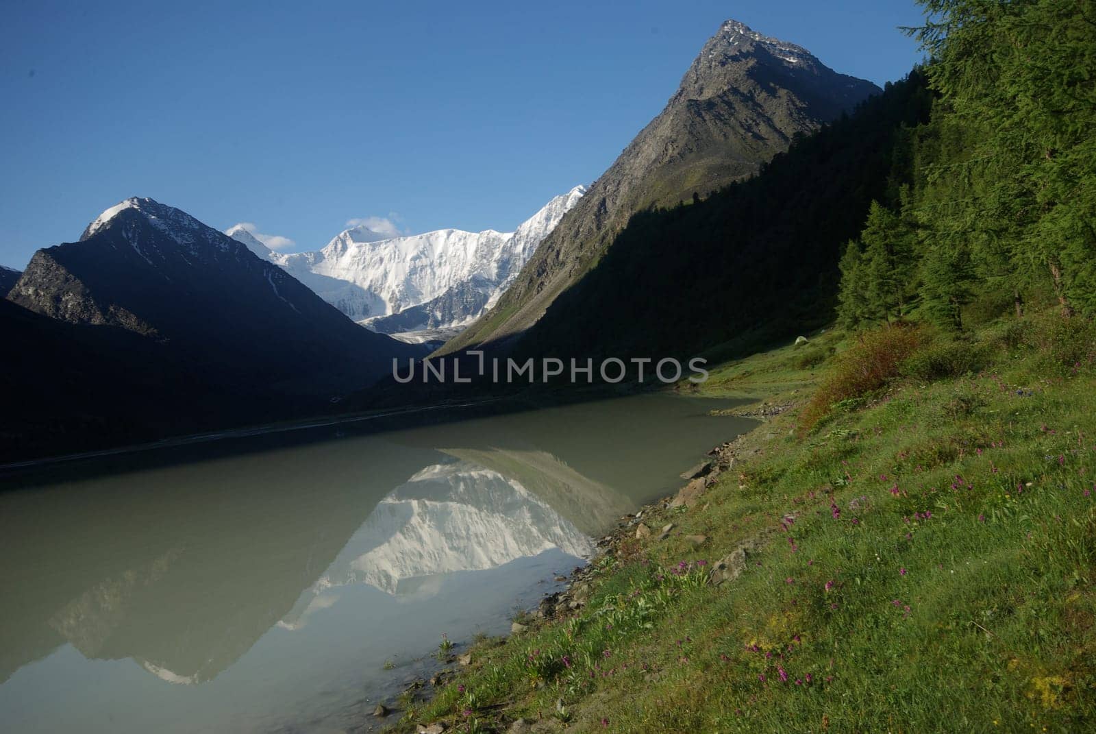 The mountain river in the mountains. Current through the gorge the river. Stones and rocky land near the river. Beautiful mountain landscape.
