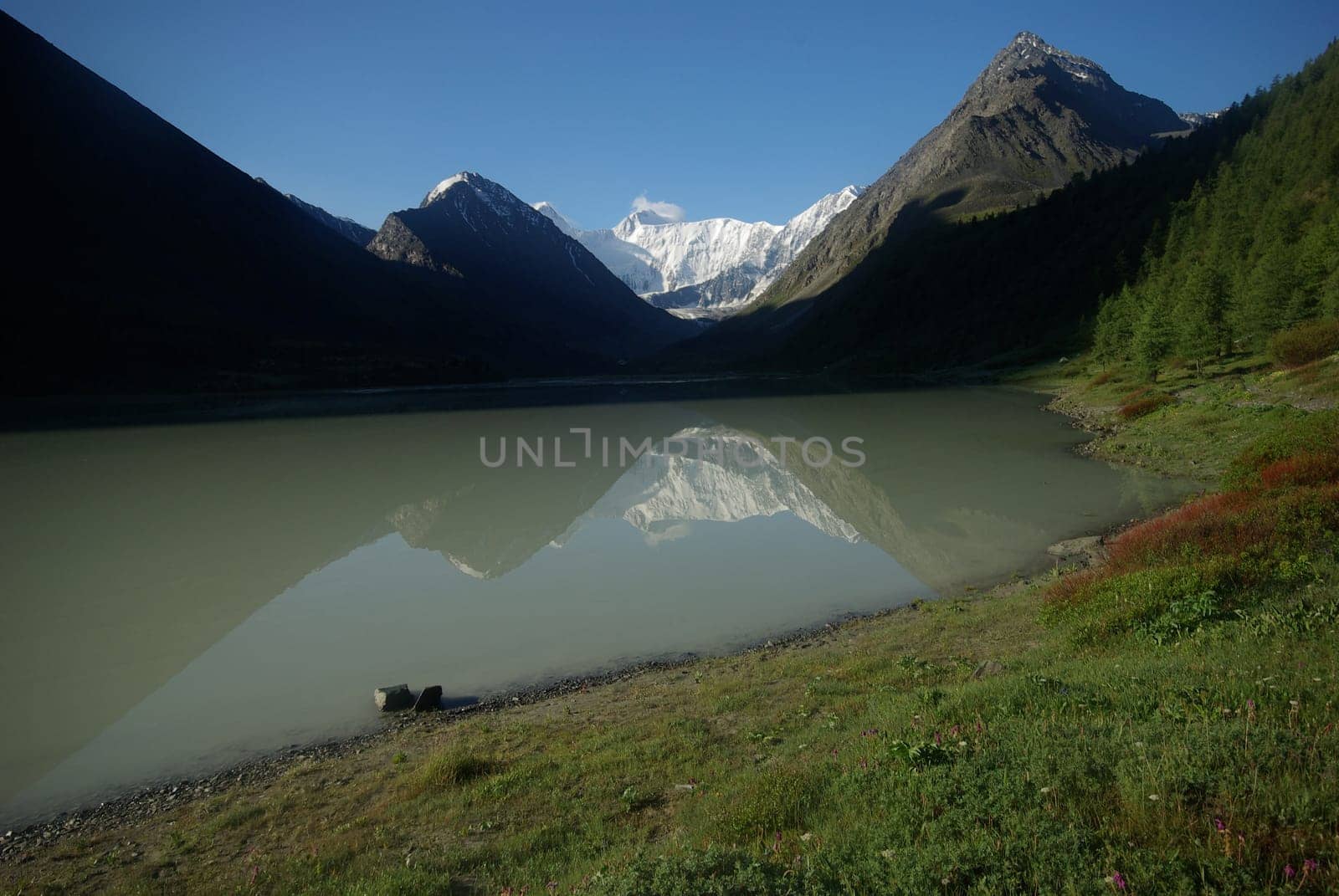 The mountain river in the mountains. Current through the gorge the river. Stones and rocky land near the river. Beautiful mountain landscape.