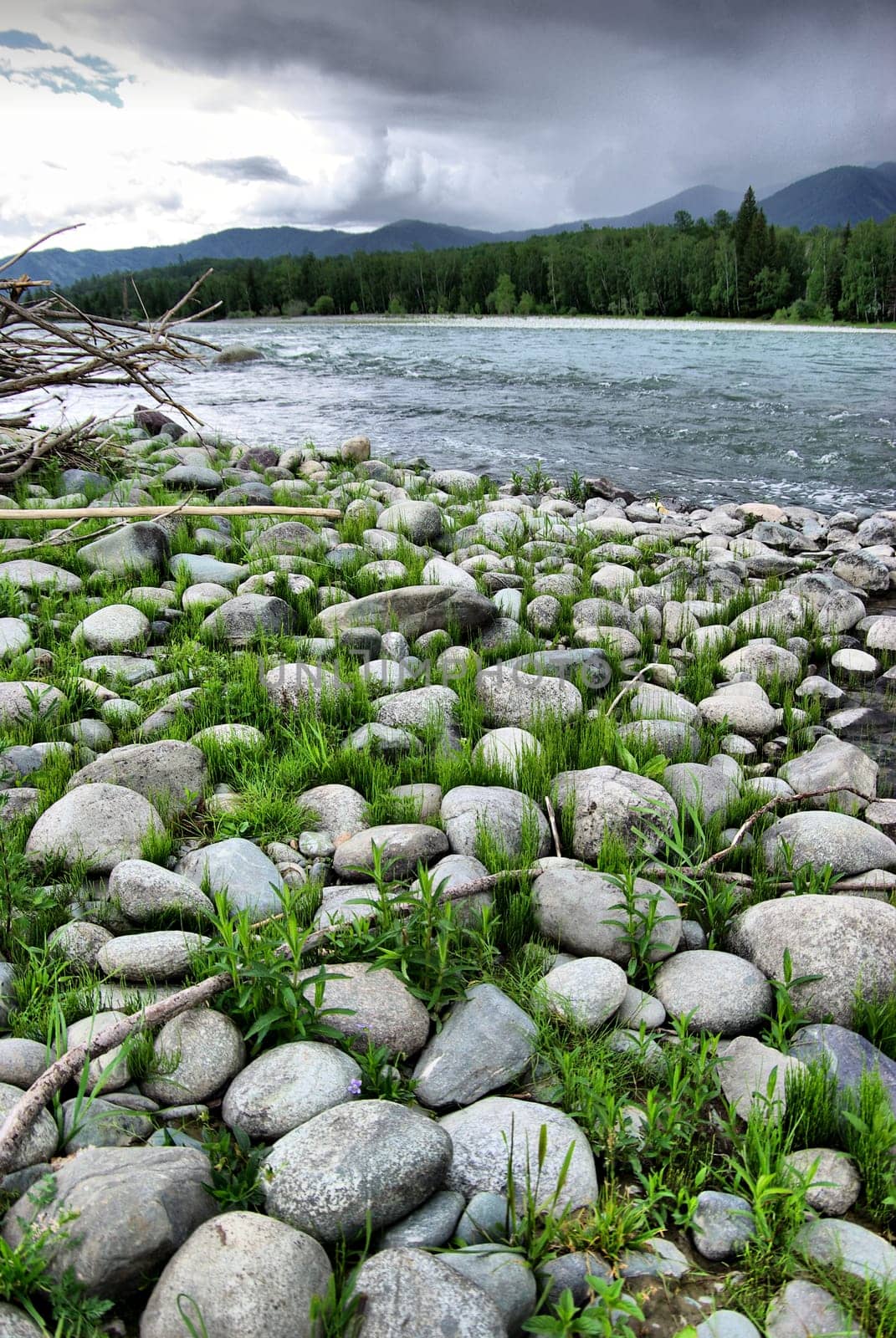 The mountain river in the mountains. Current through the gorge the river. Stones and rocky land near the river. Beautiful mountain landscape.