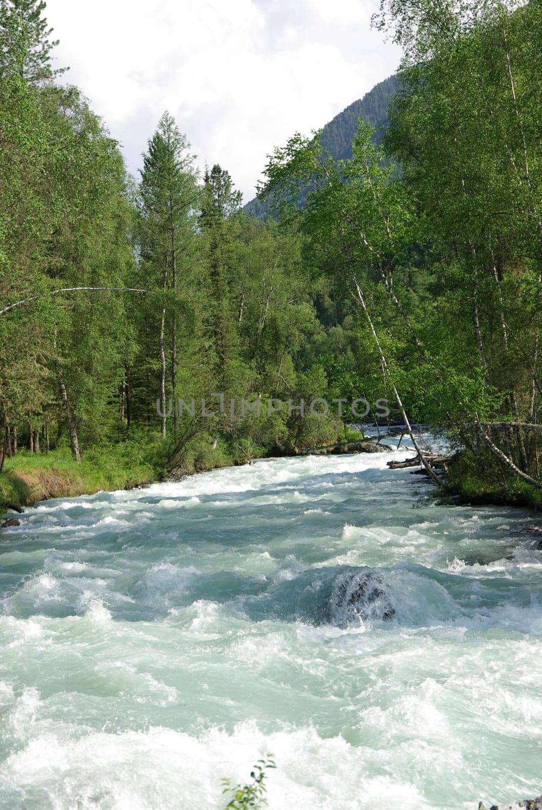 The mountain river in the mountains. Current through the gorge the river. Stones and rocky land near the river. Beautiful mountain landscape.