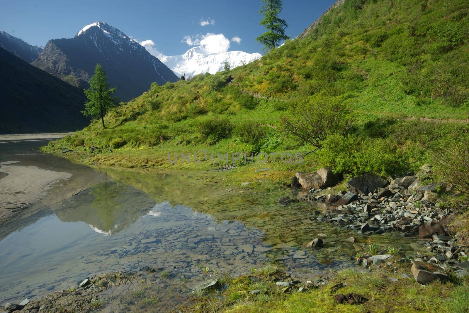 The mountain river in the mountains. Current through the gorge the river. Stones and rocky land near the river. Beautiful mountain landscape.
