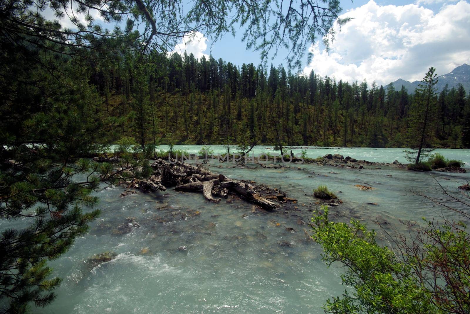 The mountain river in the mountains. Current through the gorge the river. Stones and rocky land near the river. Beautiful mountain landscape.