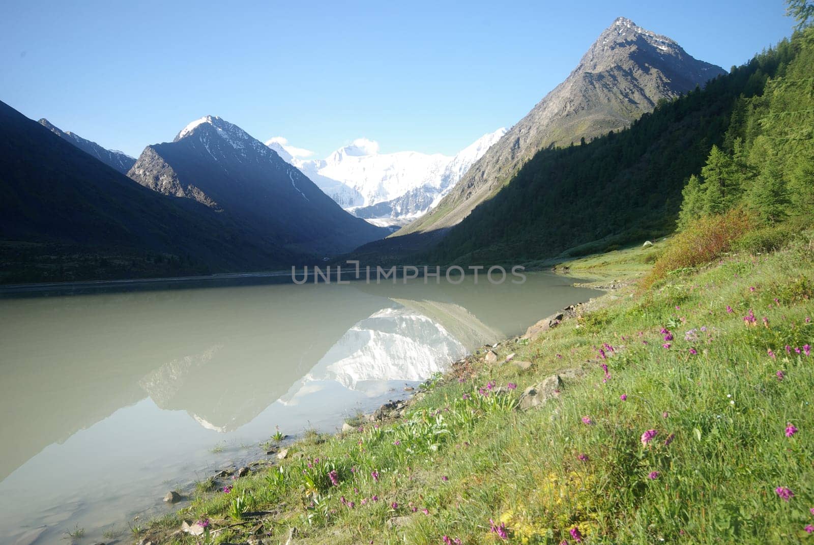 The mountain river in the mountains. Current through the gorge the river. Stones and rocky land near the river. Beautiful mountain landscape.