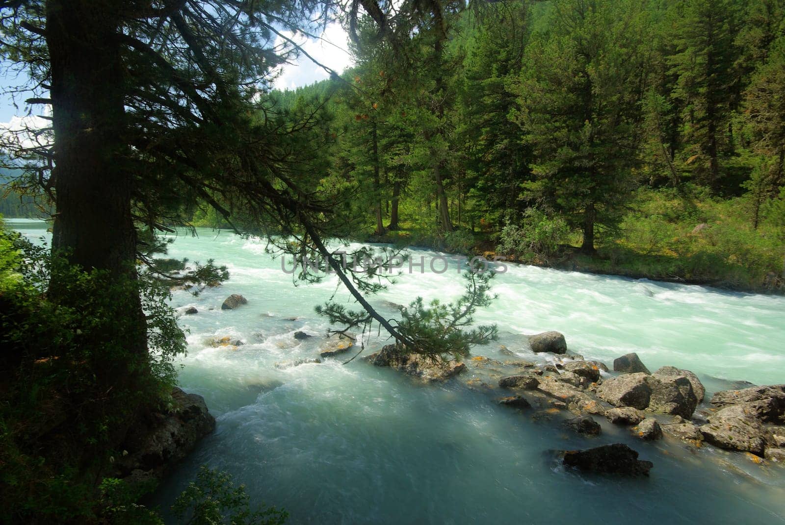 The mountain river in the mountains. Current through the gorge the river. Stones and rocky land near the river. Beautiful mountain landscape.