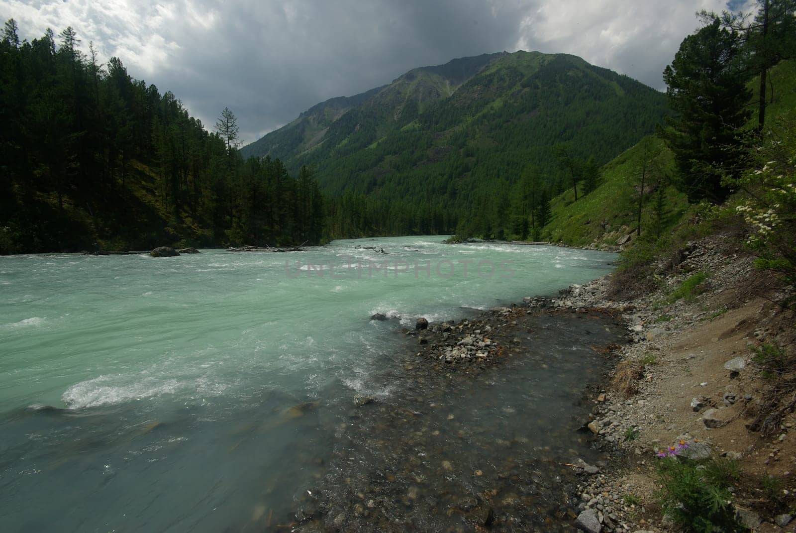 The mountain river in the mountains. Current through the gorge the river. Stones and rocky land near the river. Beautiful mountain landscape.