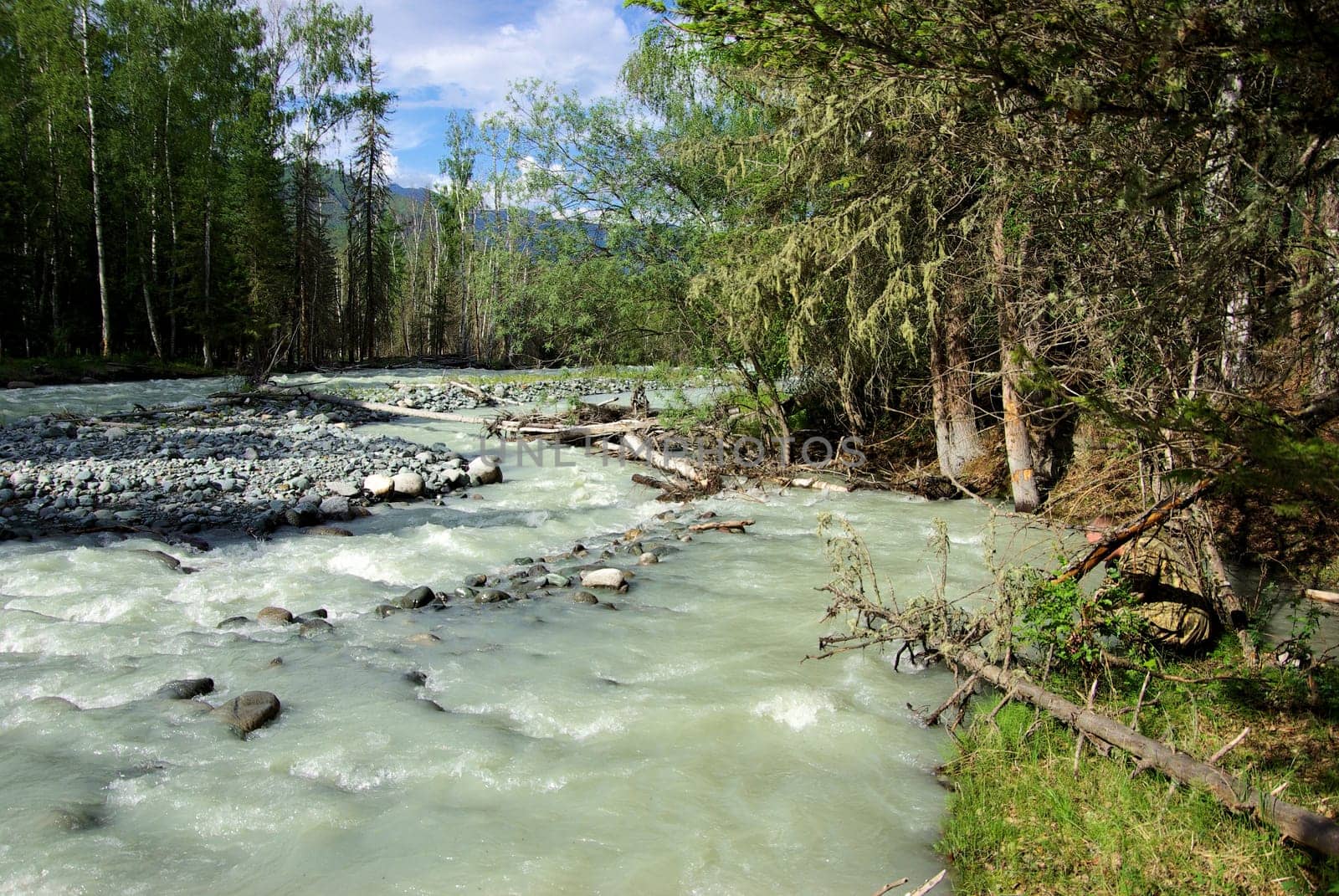 The mountain river in the mountains. Current through the gorge the river. Stones and rocky land near the river. Beautiful mountain landscape.