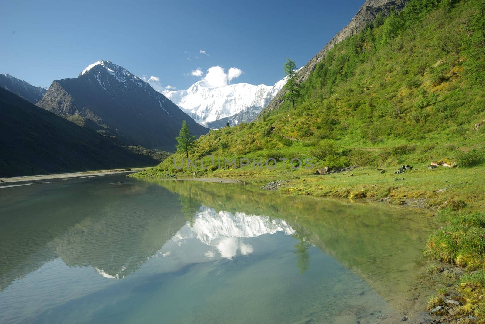 The mountain river in the mountains. Current through the gorge the river. Stones and rocky land near the river. Beautiful mountain landscape.