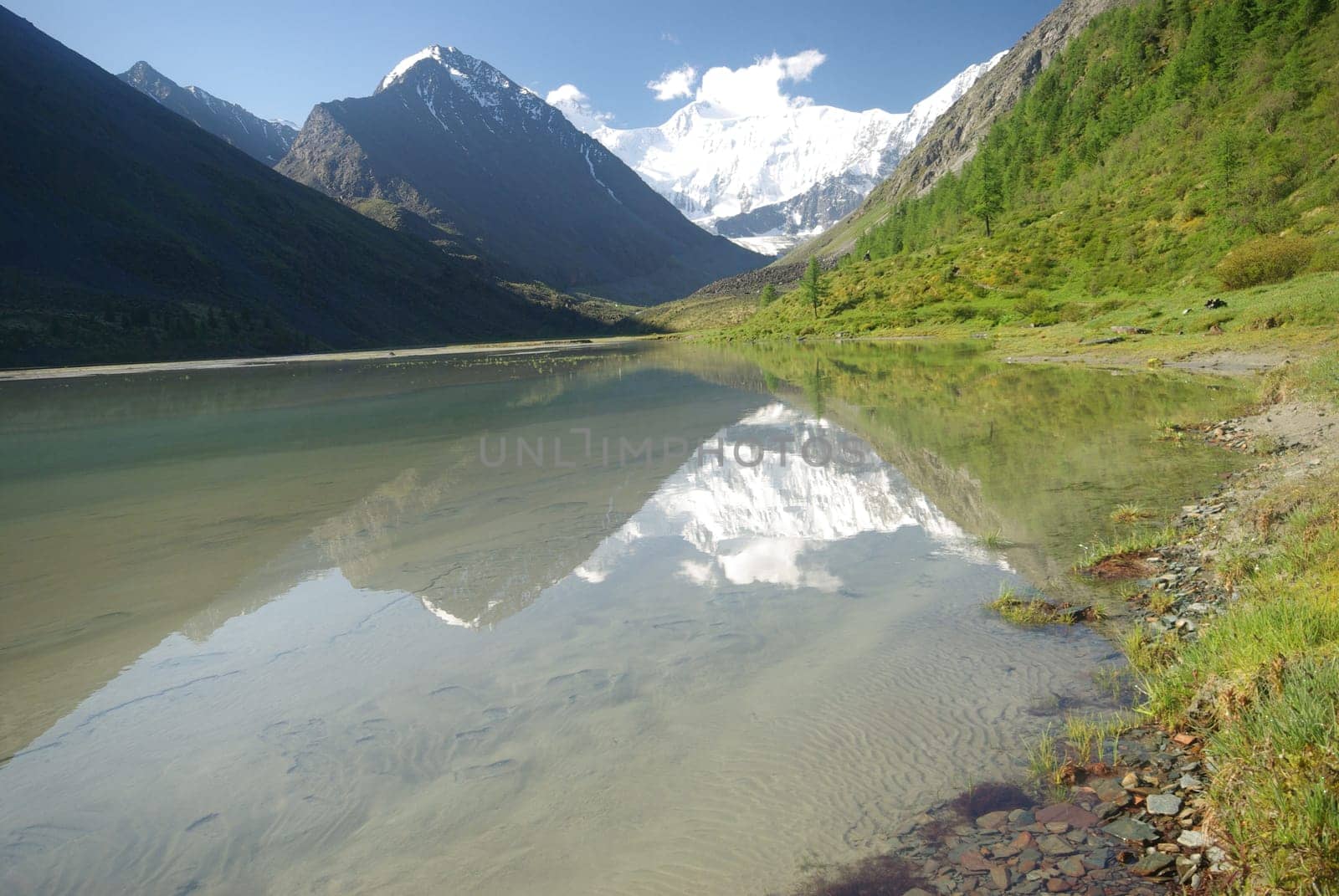 The mountain river in the mountains. Current through the gorge the river. Stones and rocky land near the river. Beautiful mountain landscape.