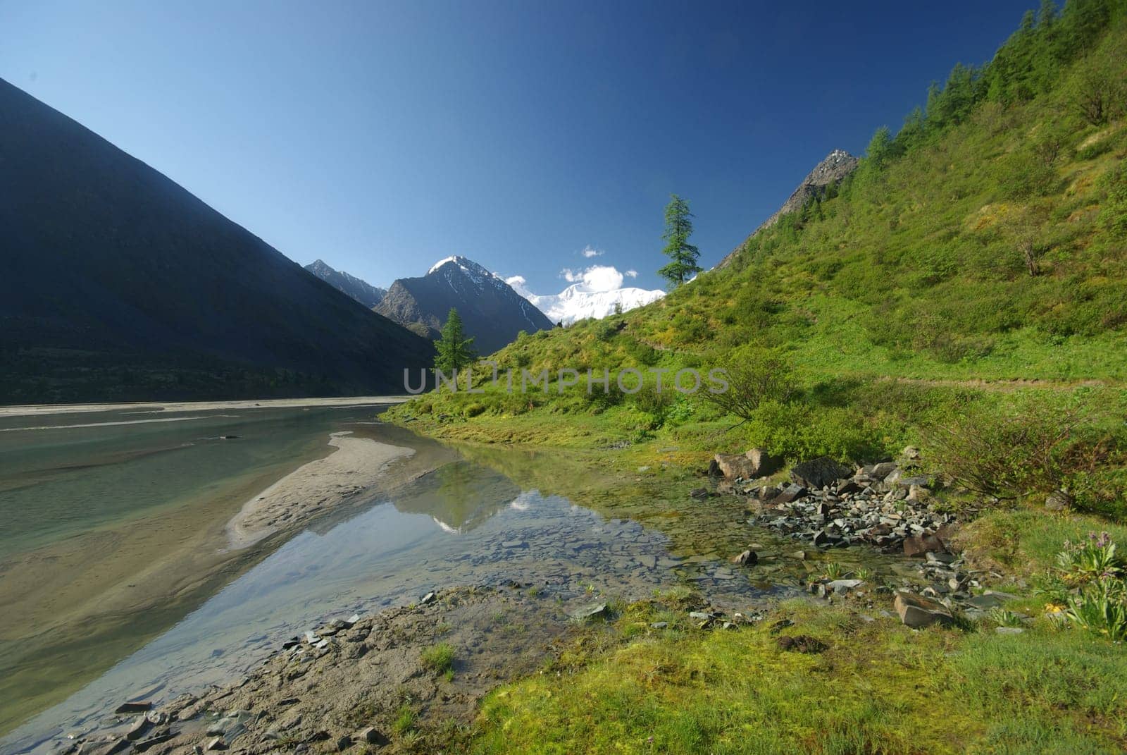 The mountain river in the mountains. Current through the gorge the river. Stones and rocky land near the river. Beautiful mountain landscape.