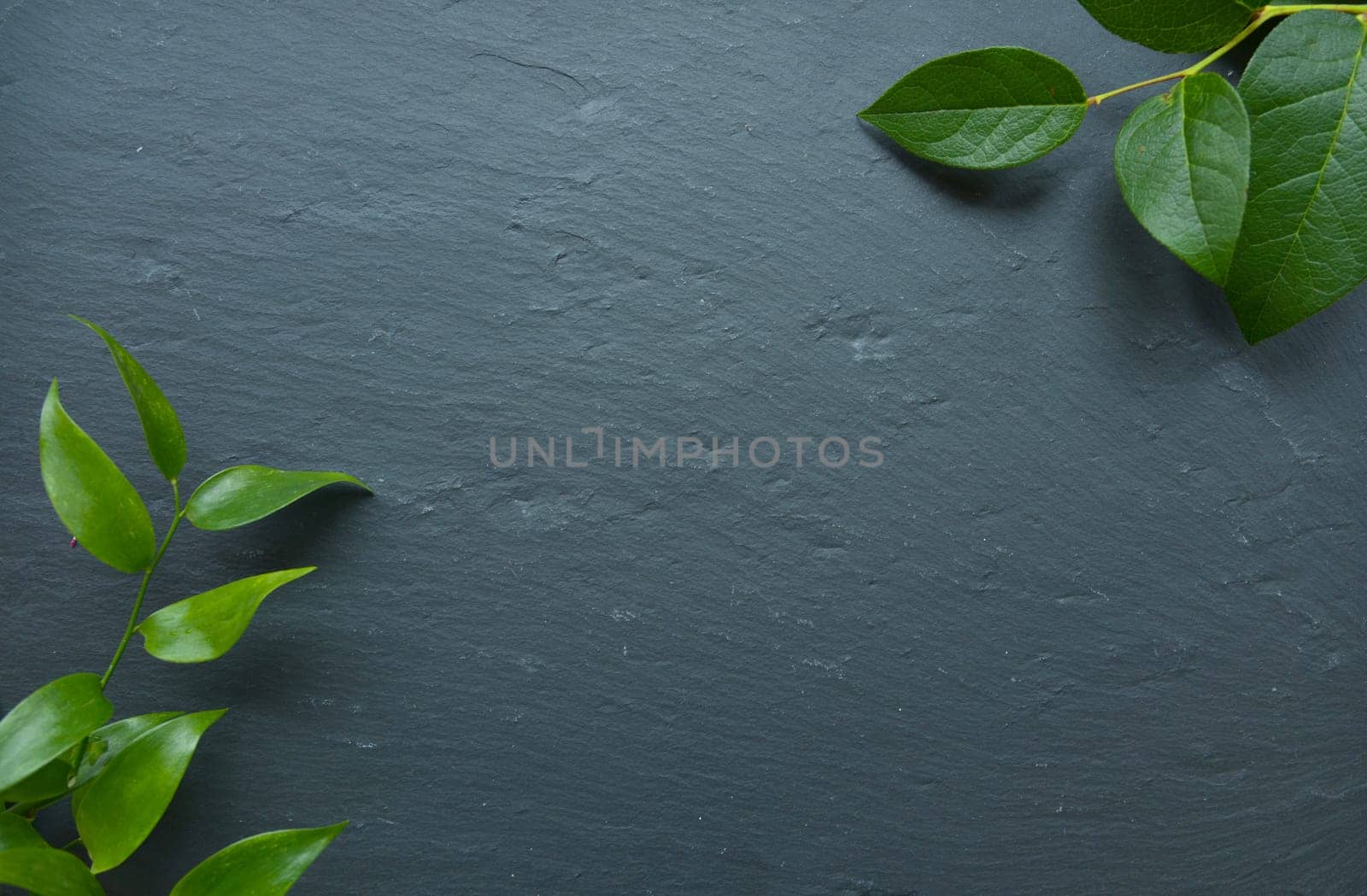 Floral background on black slate