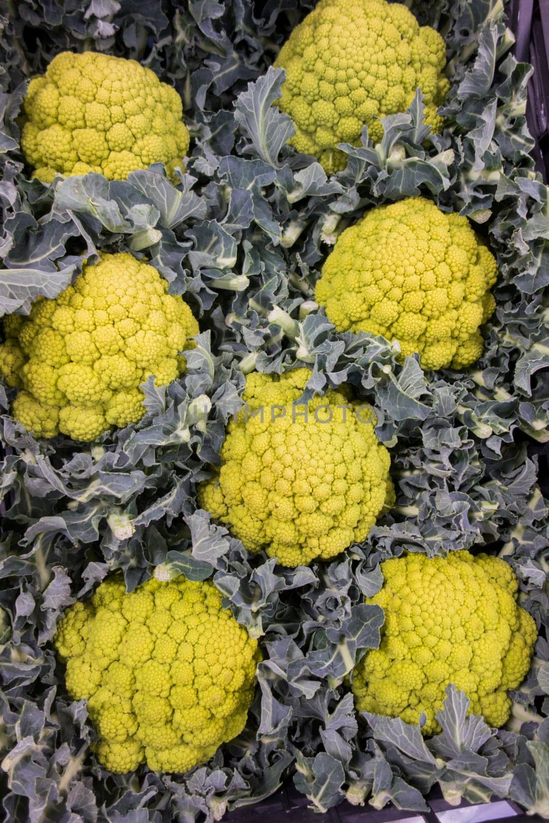 Fresh fruits and vegetables at the grocery store