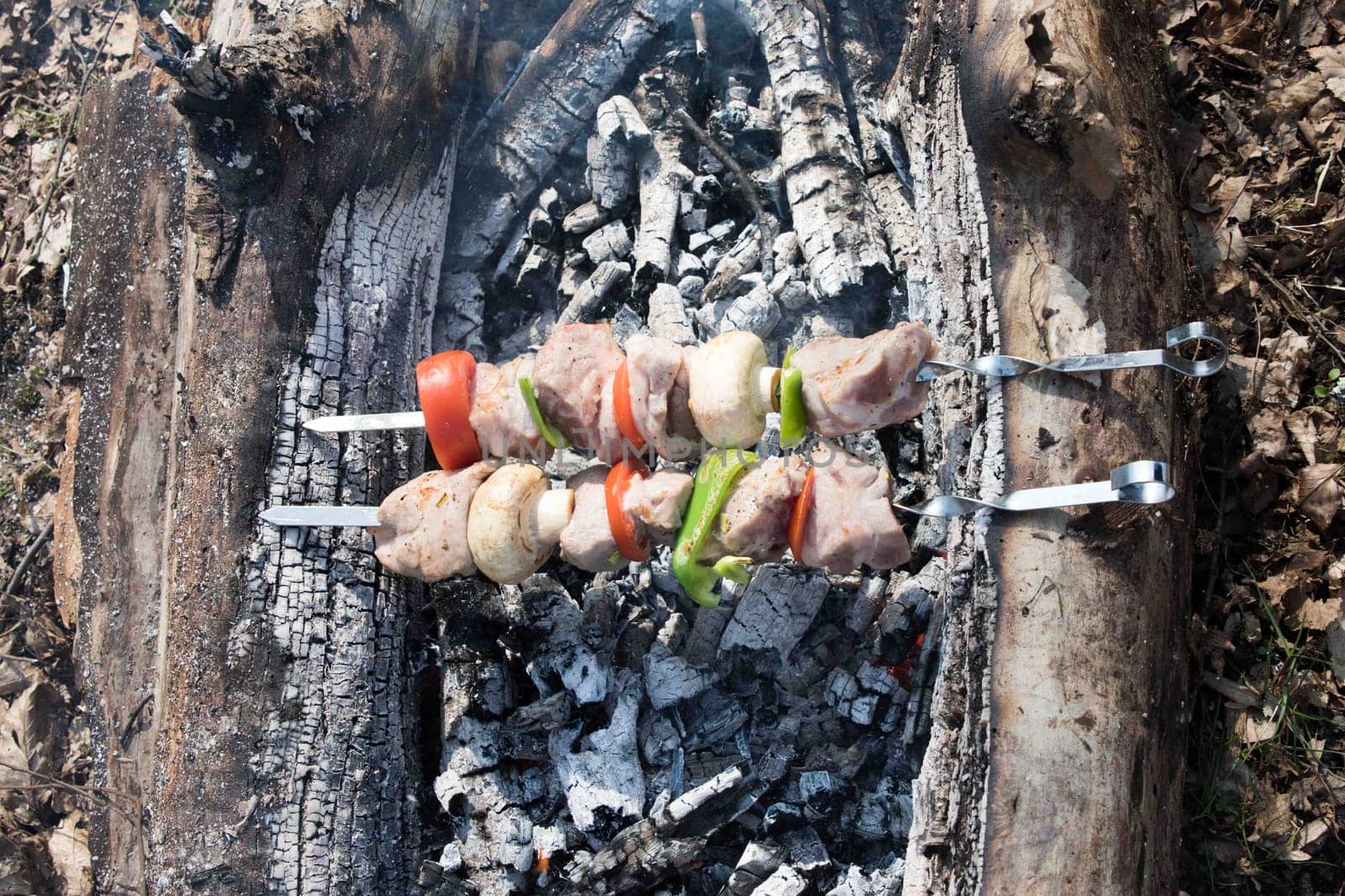 Juicy slices of meat with sauce prepare on fire. fresh hot grilled chicken shish kebab barbecue on grid over charcoal